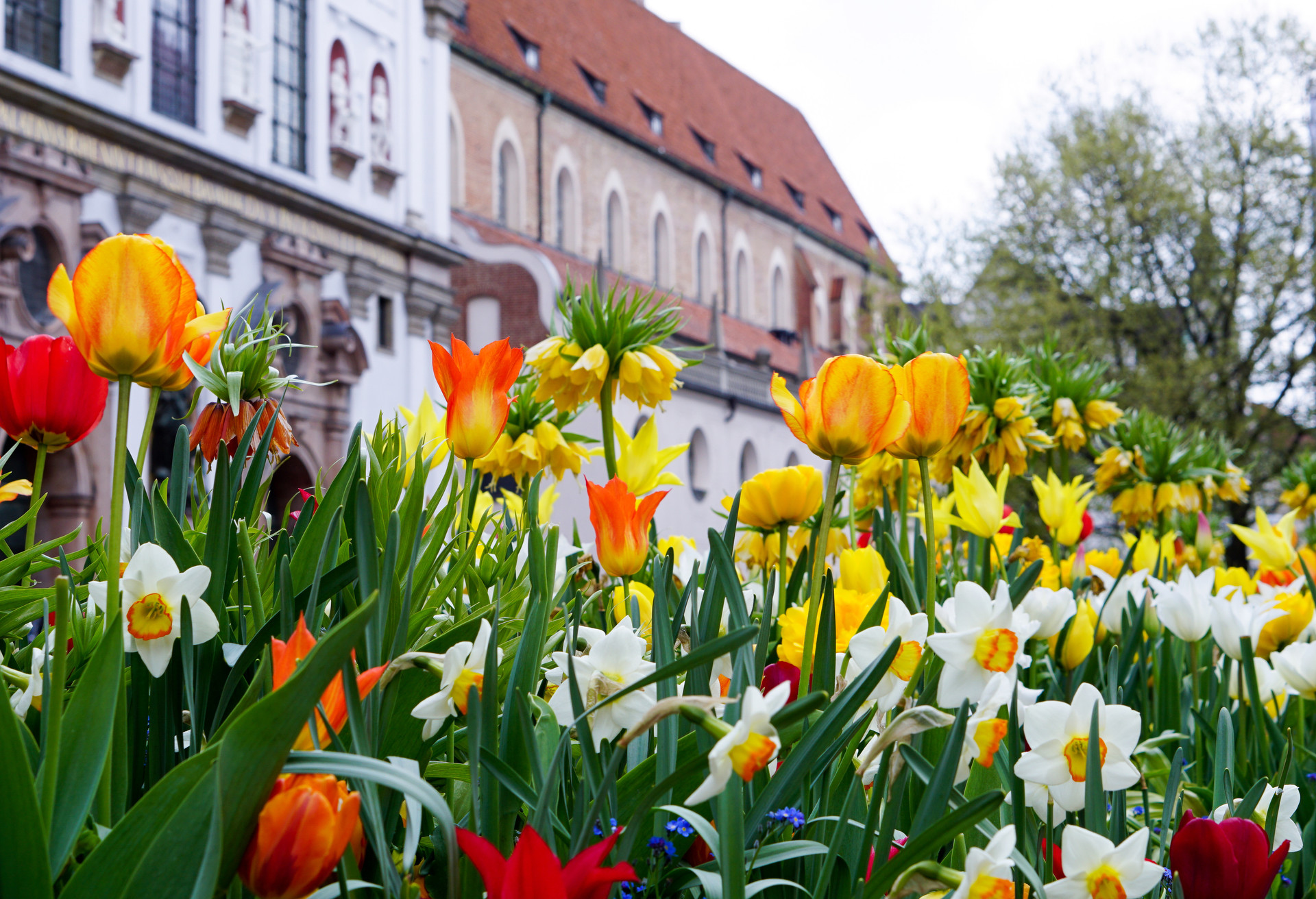 Colorful flowers blooming at the old town center of Munich, Germany; Shutterstock ID 1131749585; Purpose: Product; Brand (KAYAK, Momondo, Any): Any