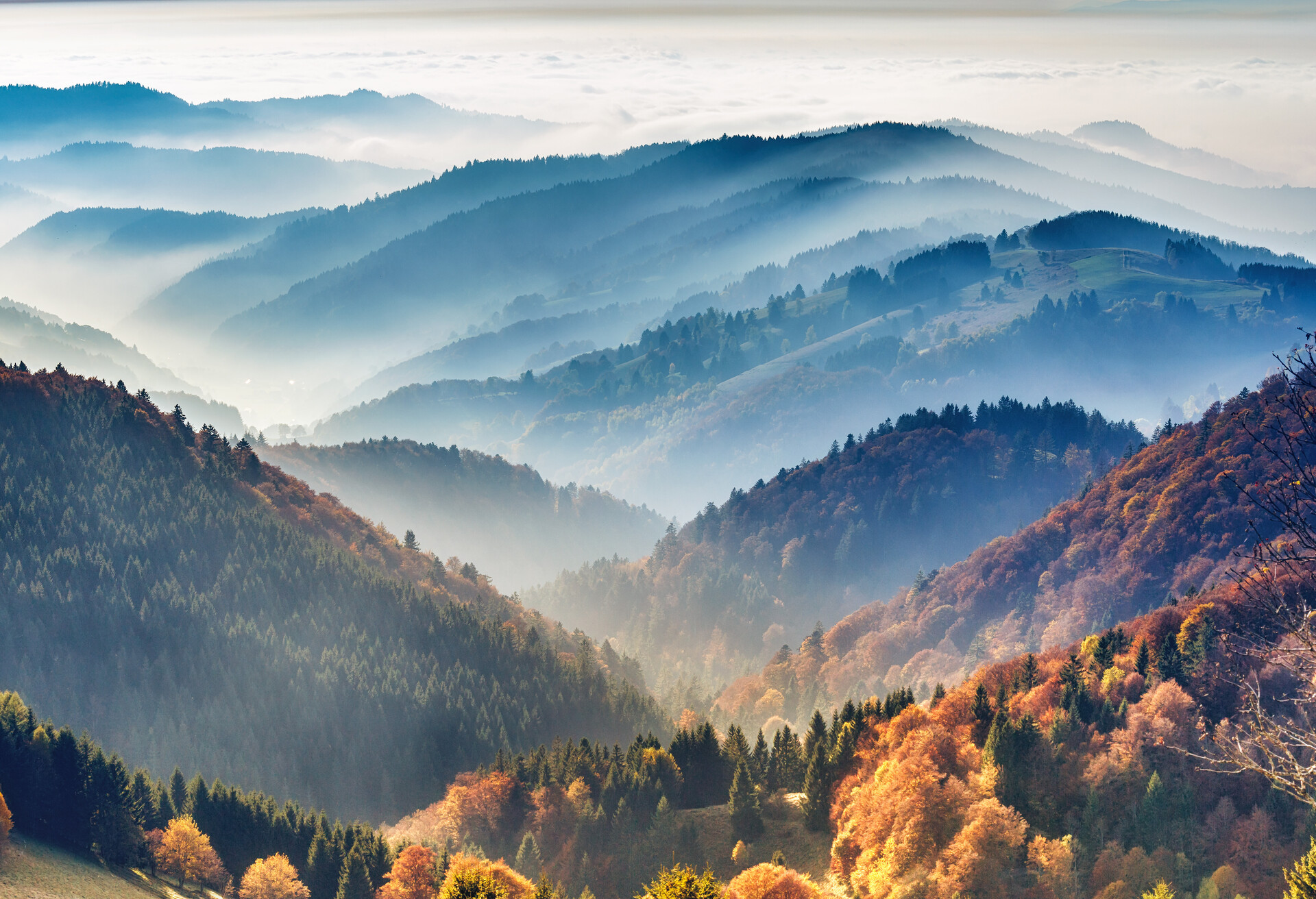 Scenic mountain landscape. View on the Black Forest, Germany, covered in fog. Colorful travel background.
