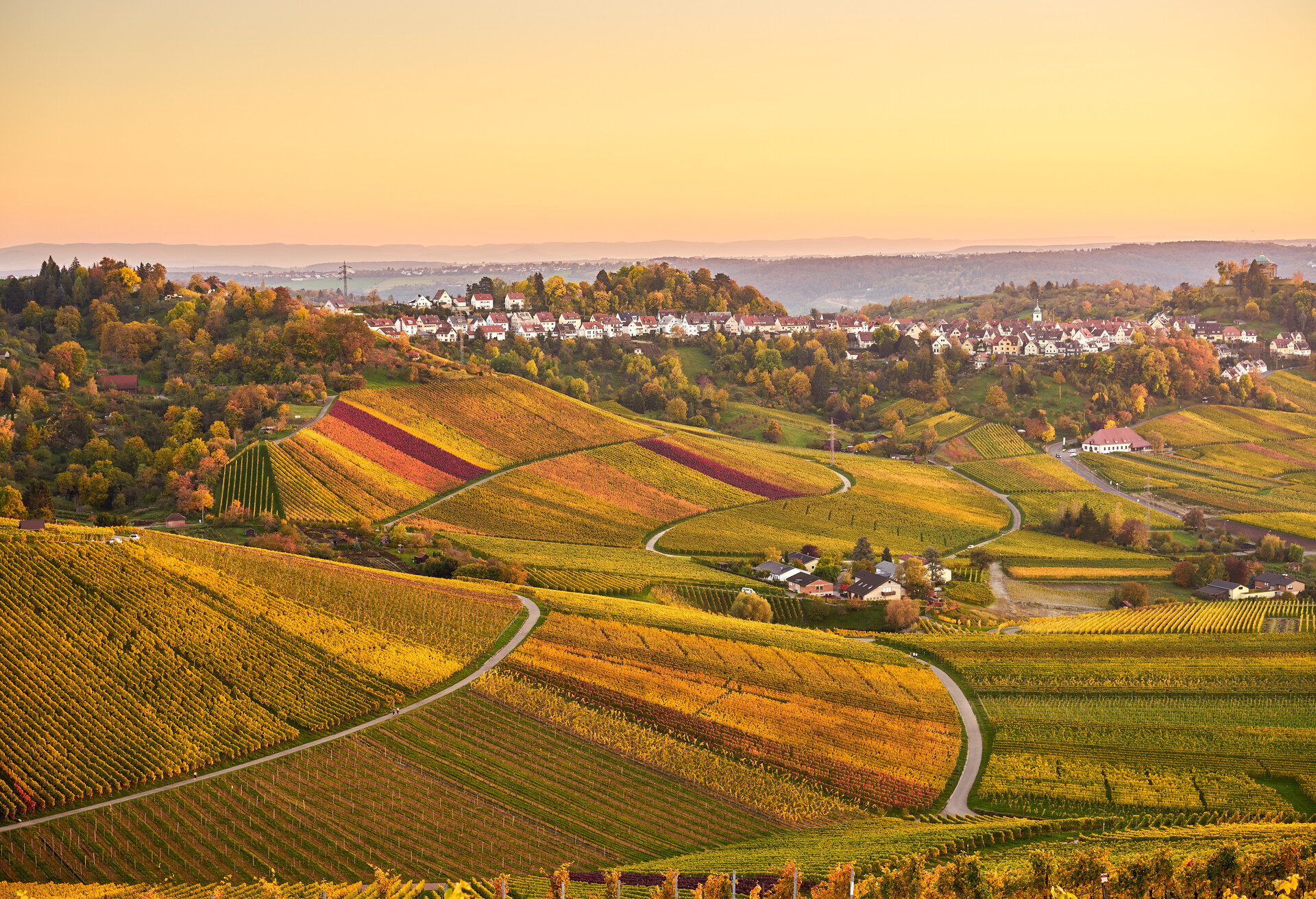 Vineyards in Stuttgart - colorful wine growing region in the south of Germany with view over Neckar Valley; Shutterstock ID 760958869; Purpose: Destiny; Brand (KAYAK, Momondo, Any): Any