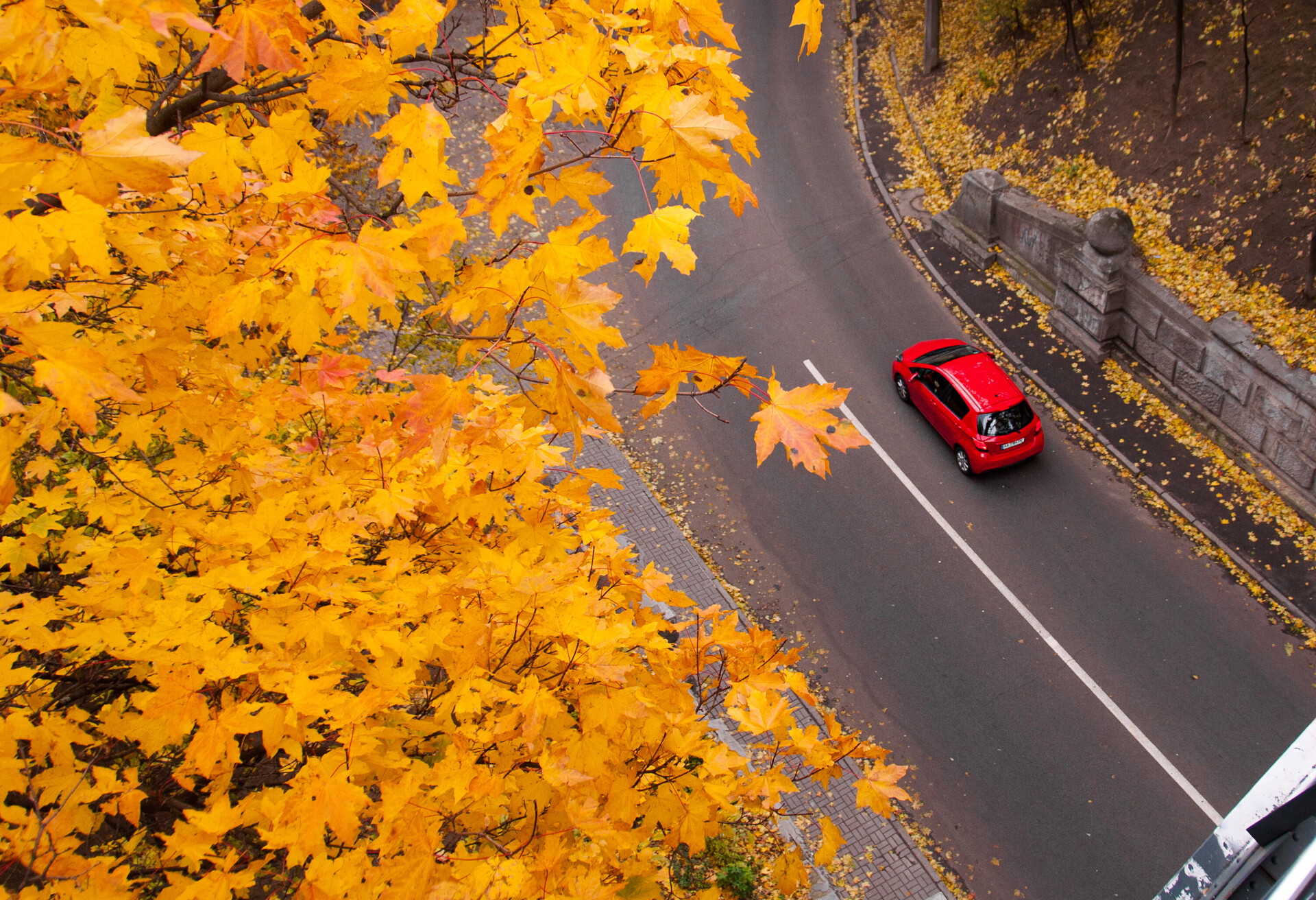 Aerial view of road with red car in beautiful autumn forest.