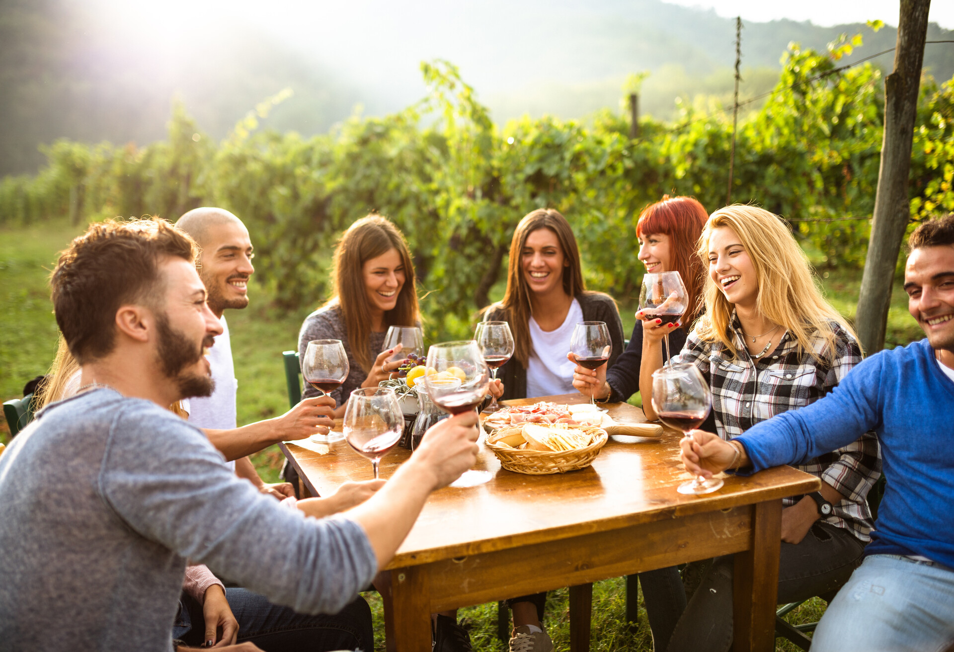 friends toasting with red wine after the harvesting