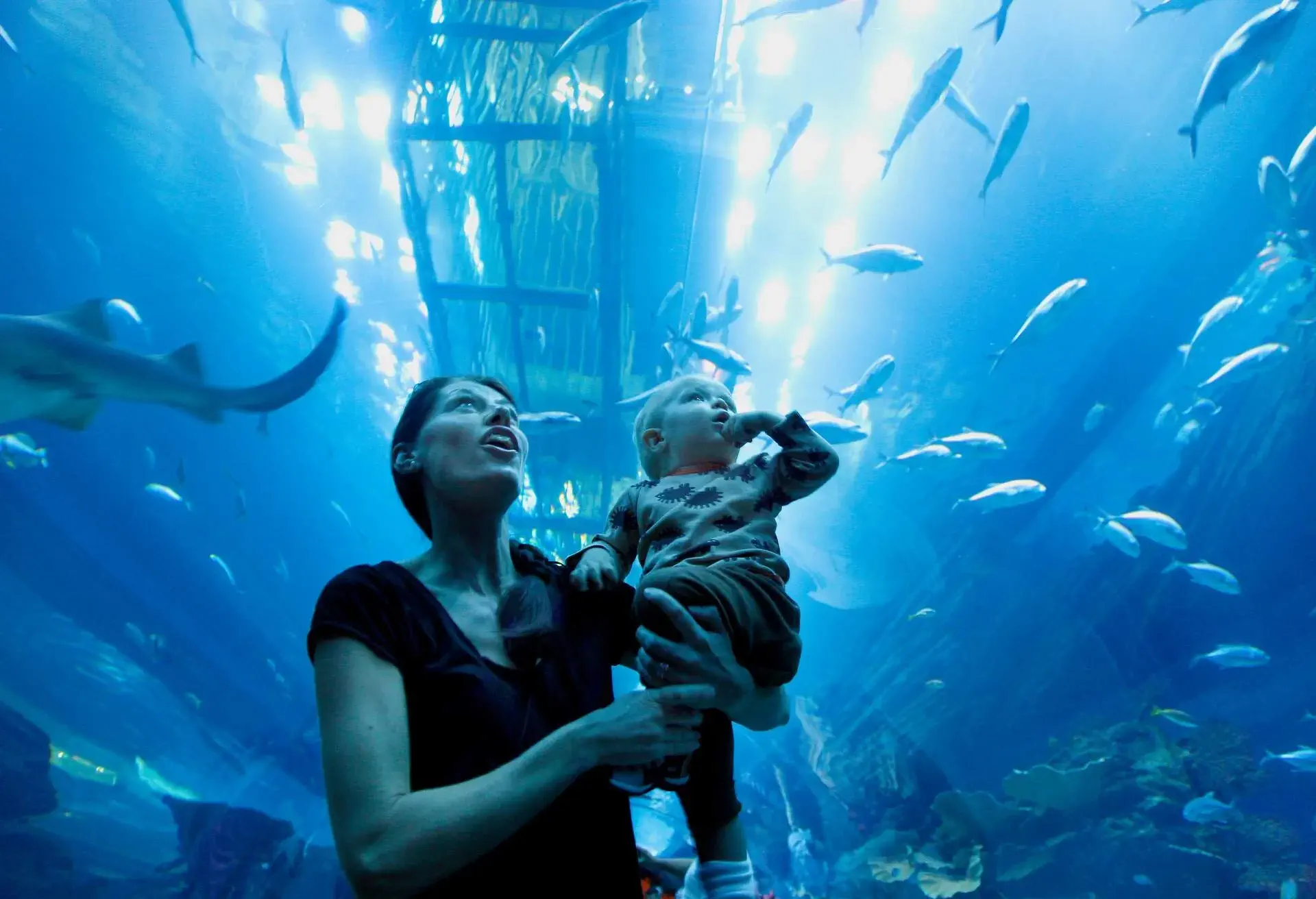 oceanarium