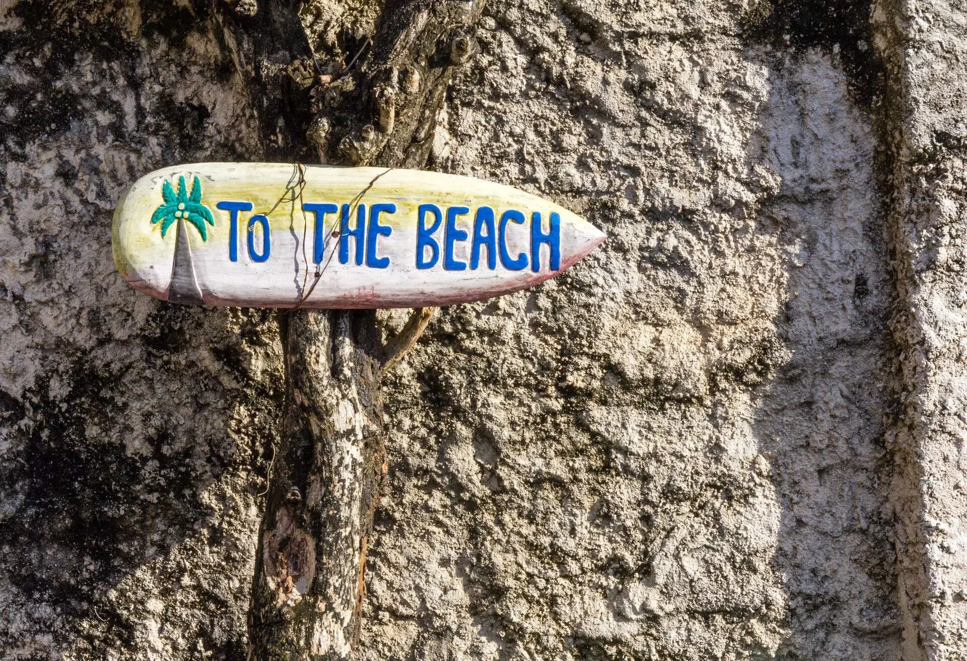 beach