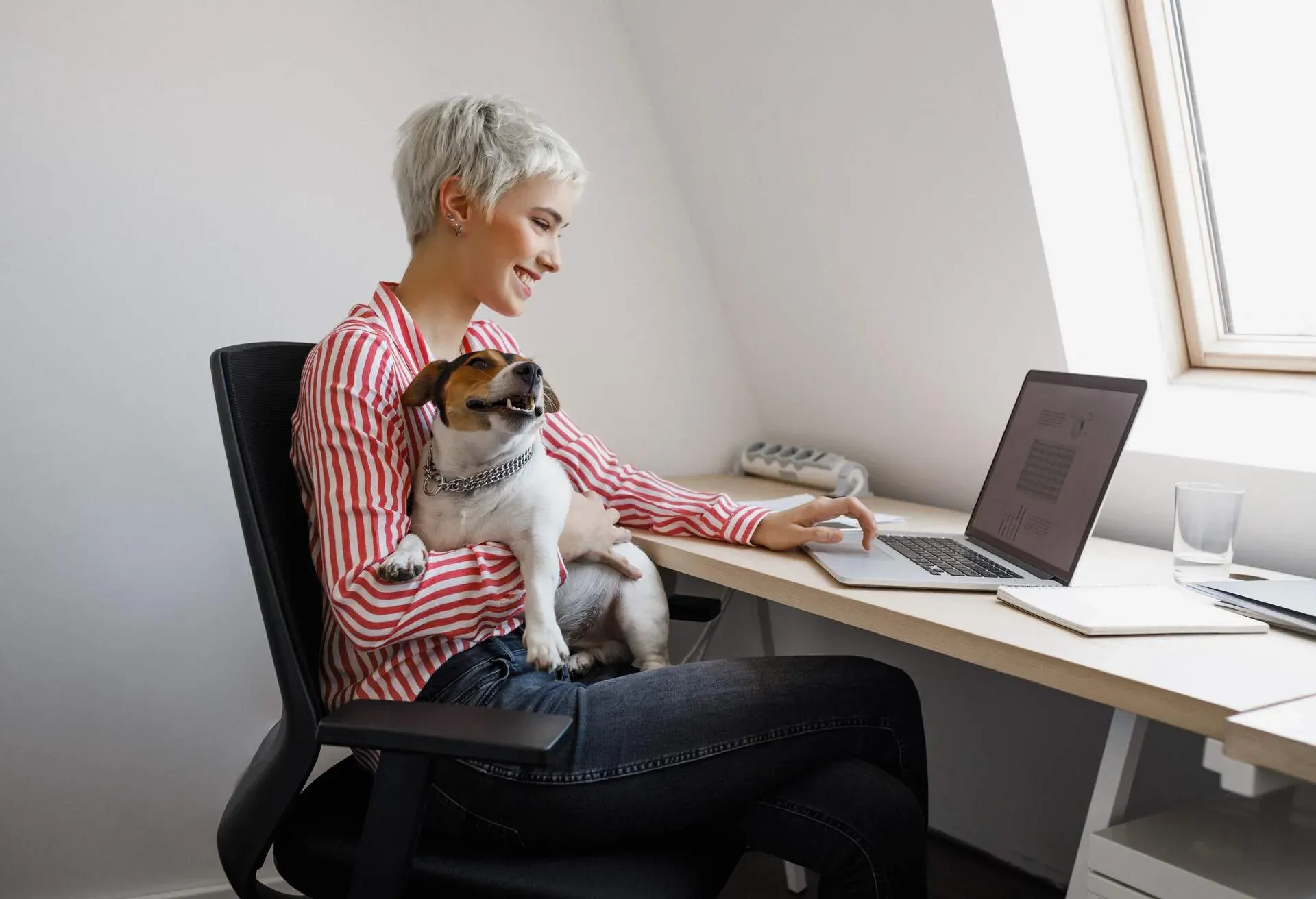 THEME_PERSON_PET_DOG_PET-FRIENDLY_LAPTOP_OFFICE_WORK-FROM-HOME-shutterstock-portfolio_1875007420.jpg