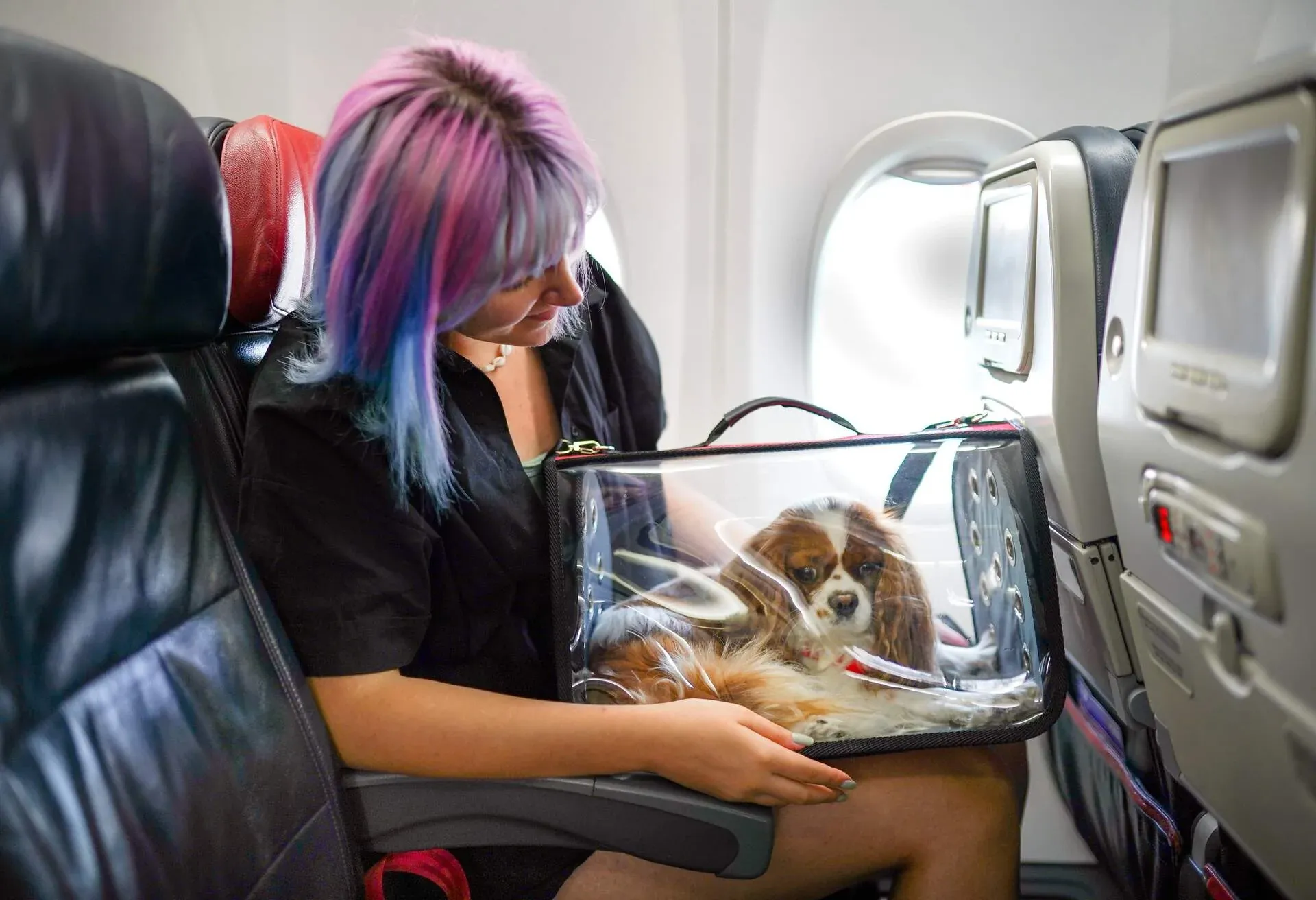 FLYING_WITH_DOG