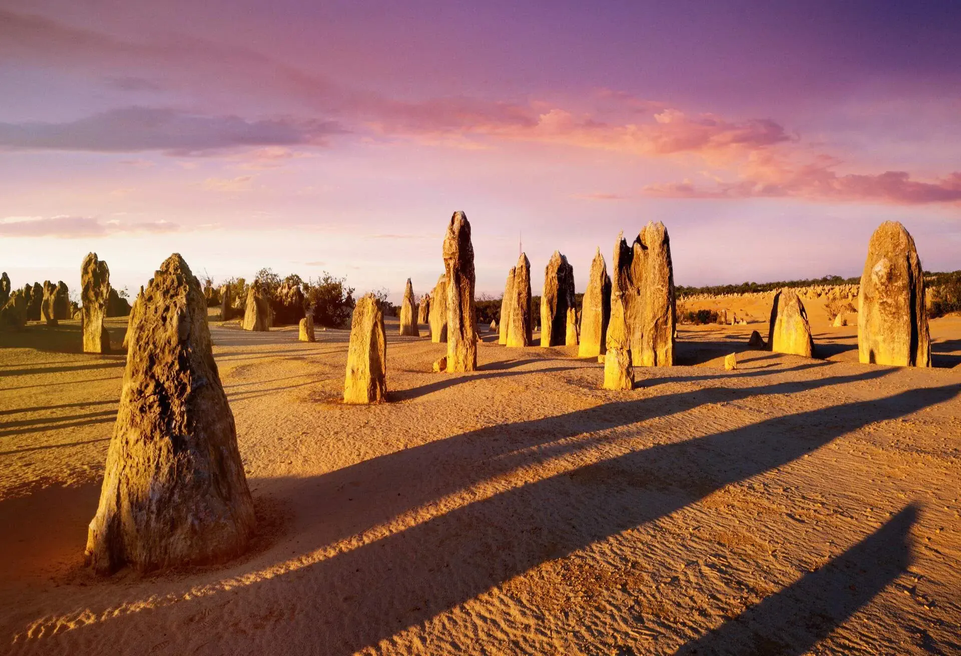 AUSTRALIA_CERVANTES_PINNACLES_NATIONAL-PARK