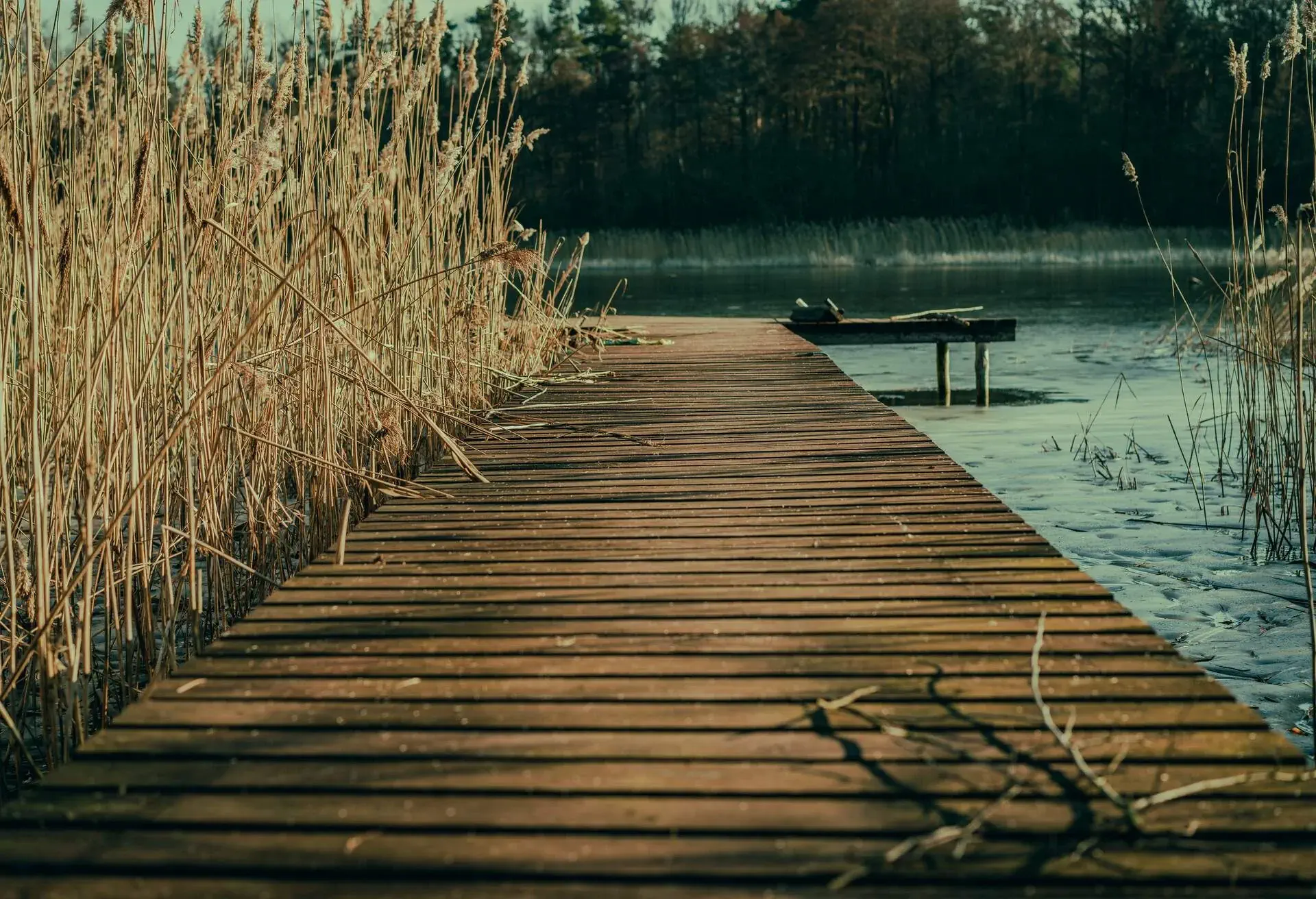 LAKE