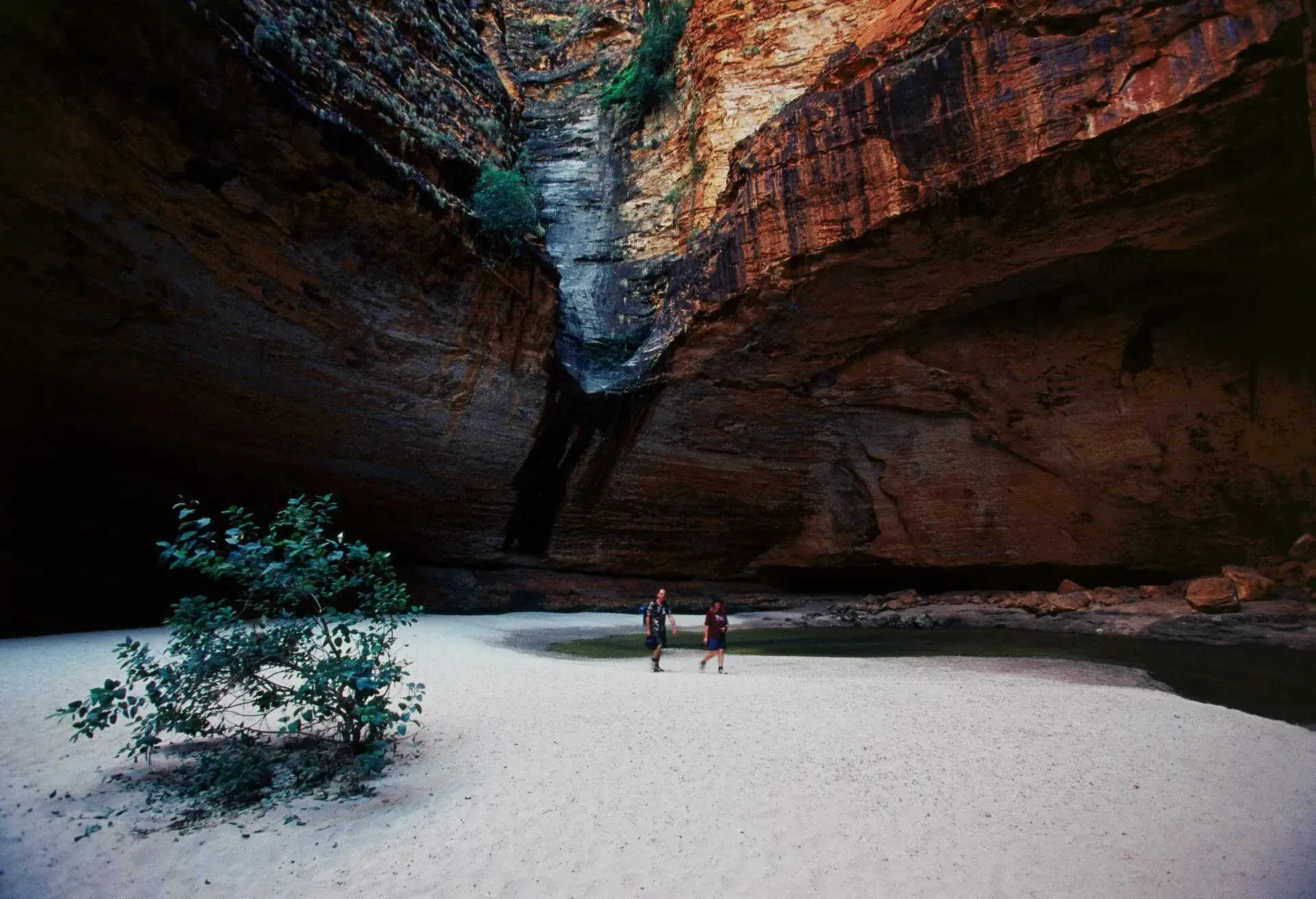AUSTRALIA_WESTERN-AUSTRALIA_KIMBERLEY_PURNULU-NATIONAL-PARK_CATHEDRAL-GORGE