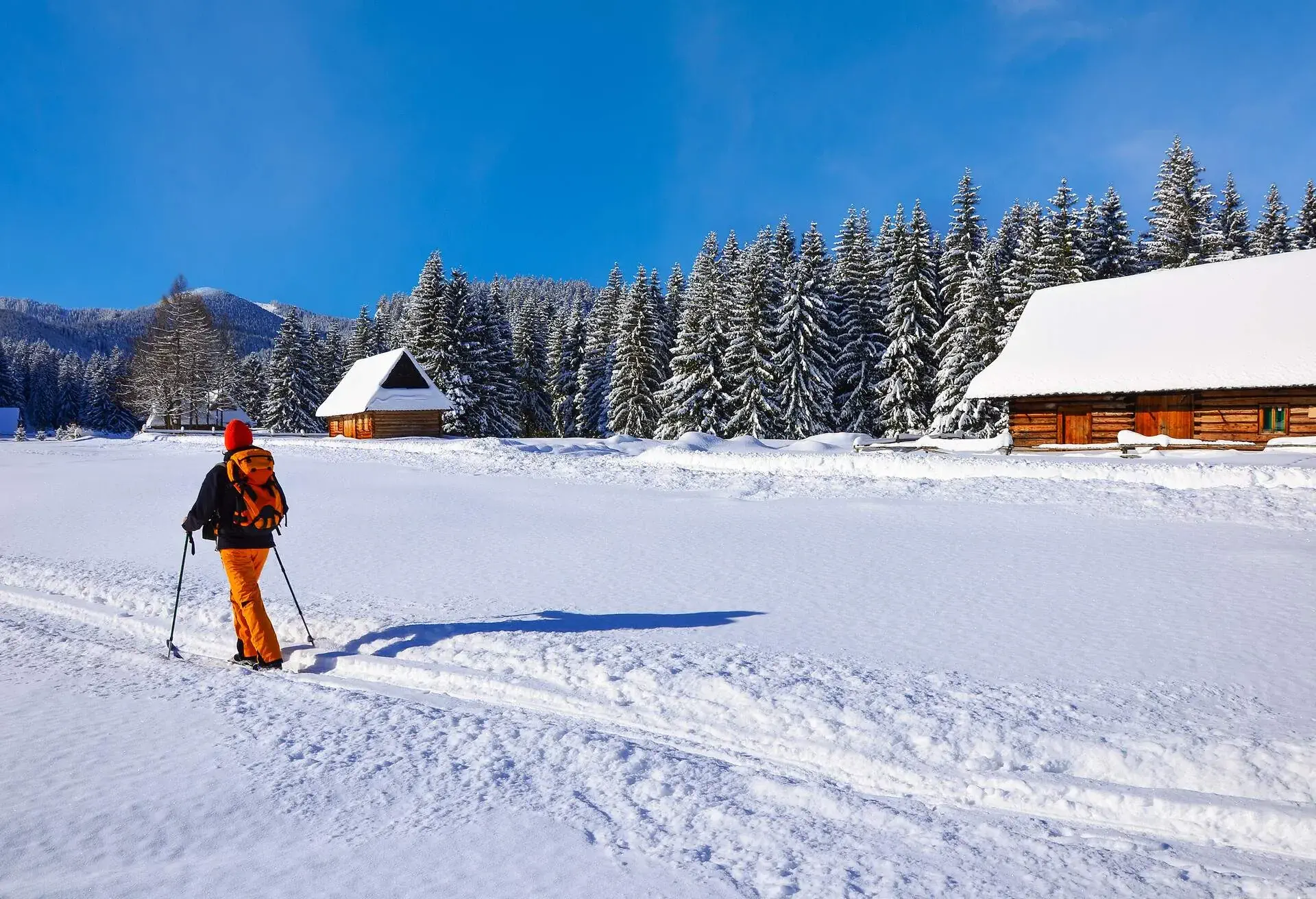 POLAND_Koscielisko_THEME_SKI