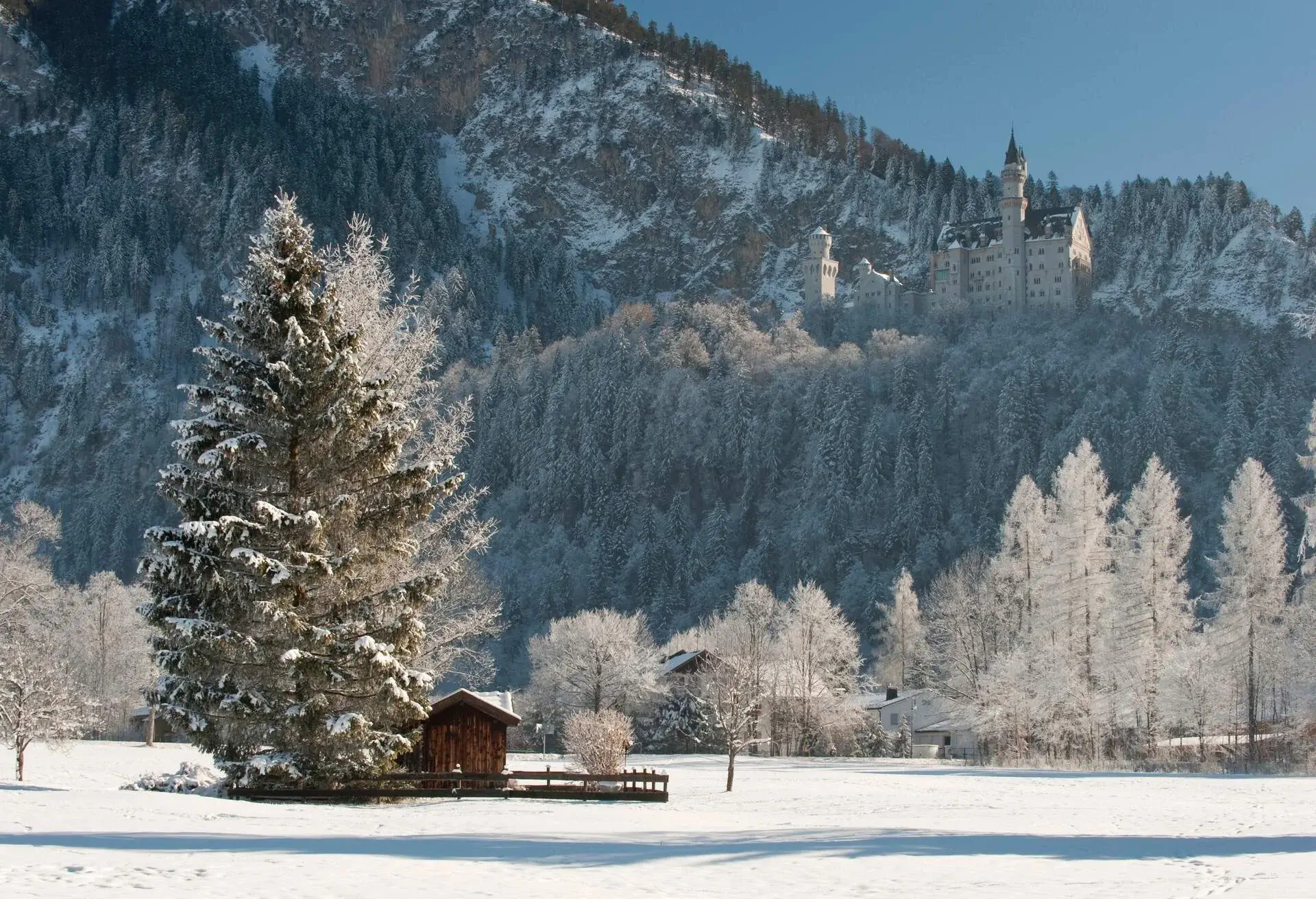CASTLE_WINTER