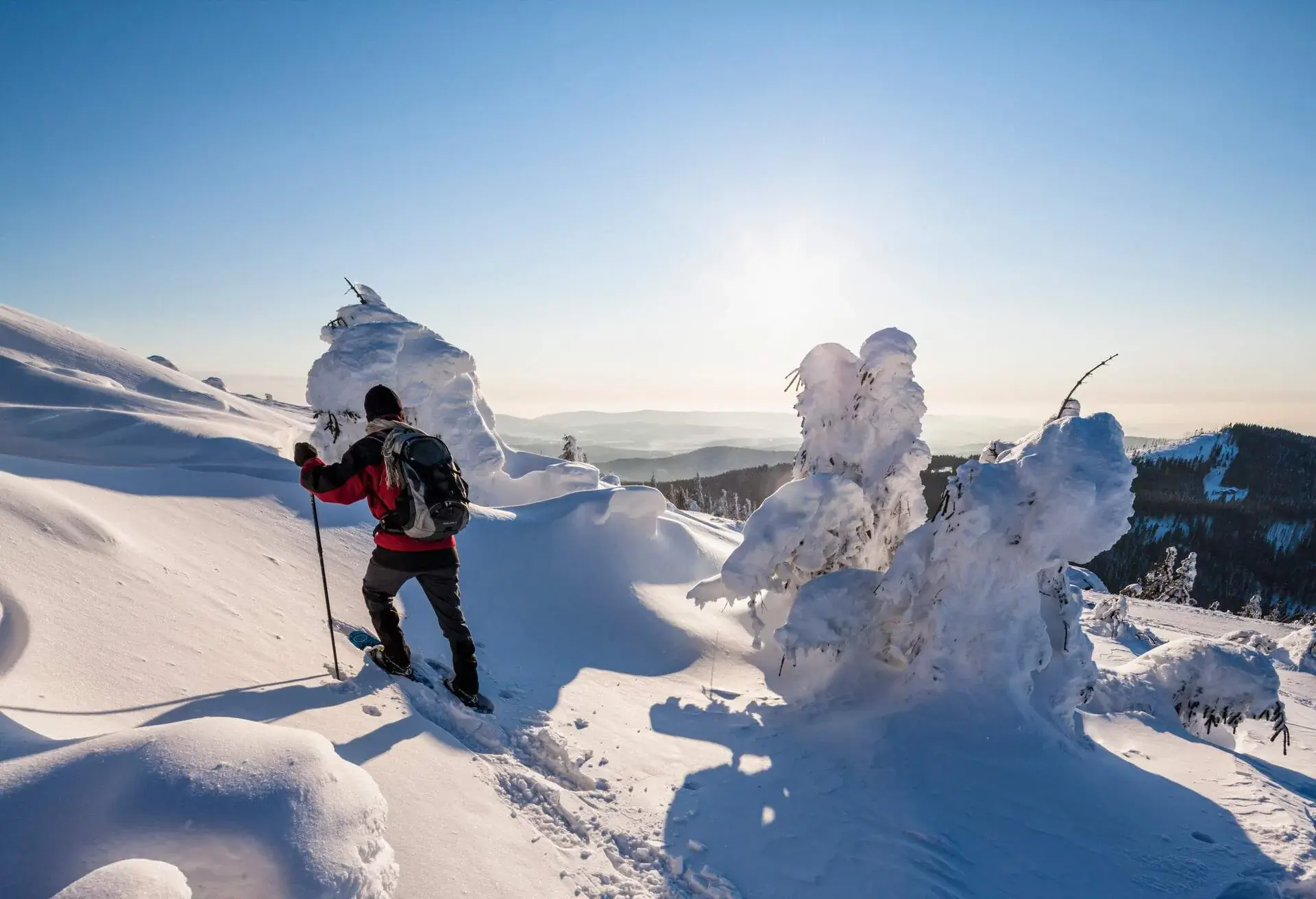 GERMANY_BAVARIAN_FOREST_WINTER_PERSON