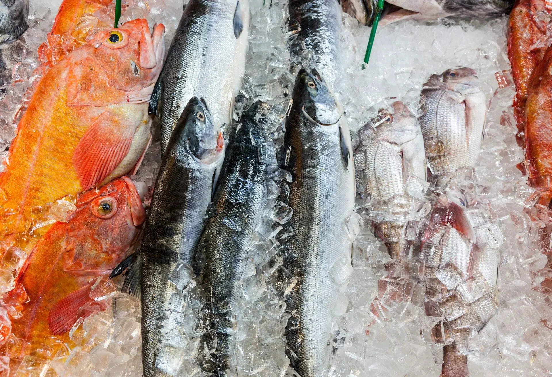 CANADA_VANCOUVER_GRANVILLE_ISLAND_PUBLIC_MARKET_FISH_SEAFOOD