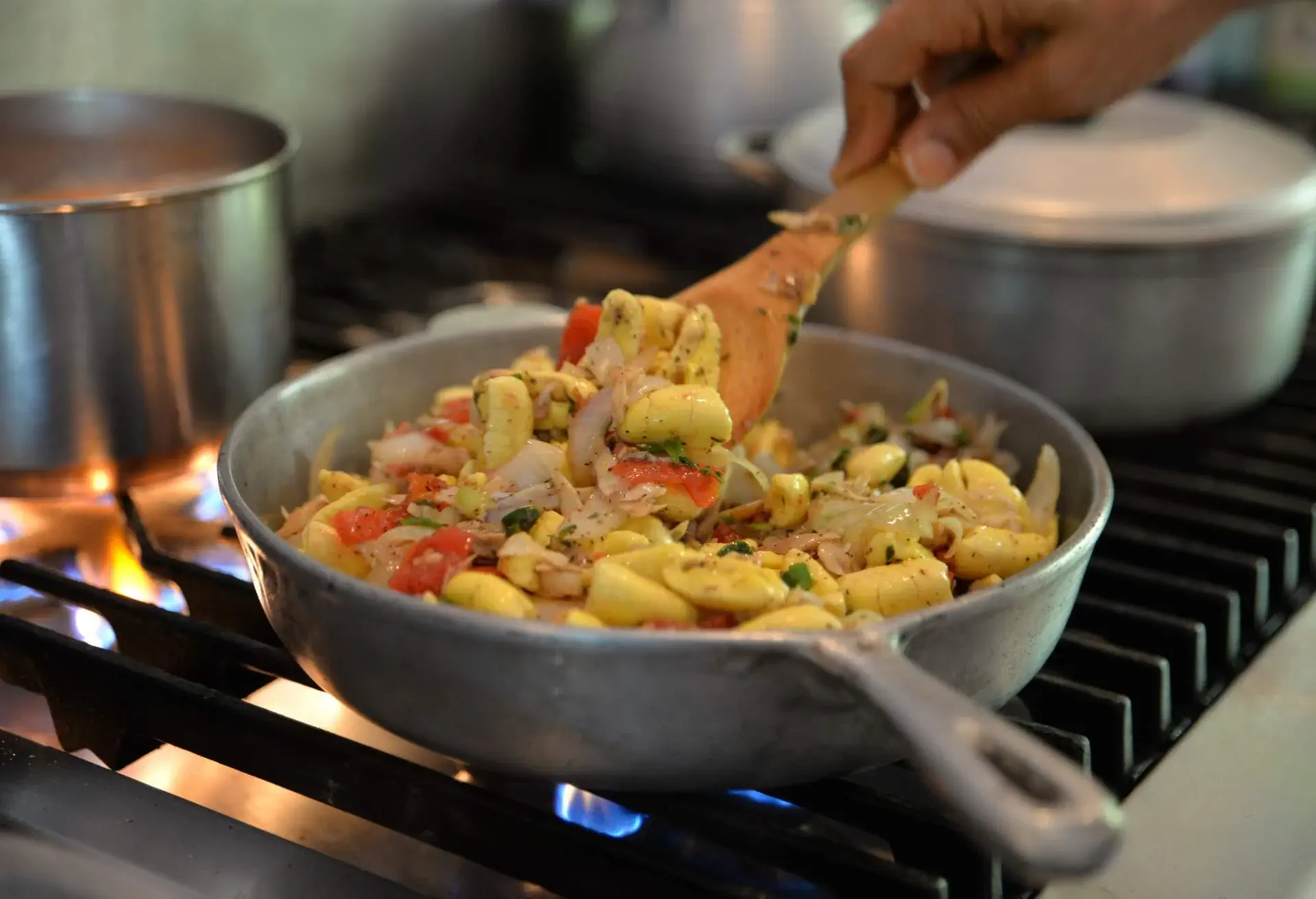 FOOD_JAMAICAN_ACKEE_SALTFISH_NATIONAL_DISH_HAND