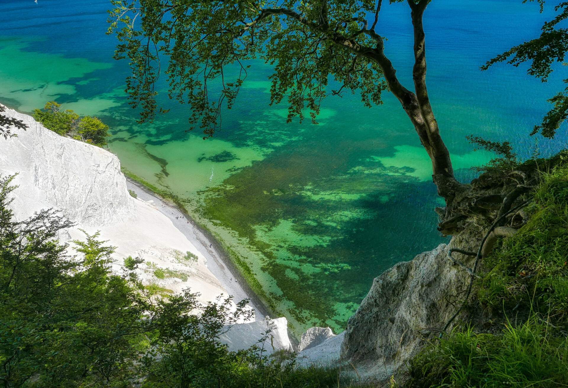 View of the beach from top of the white chalk cliffs of Møns Klint, Denmark