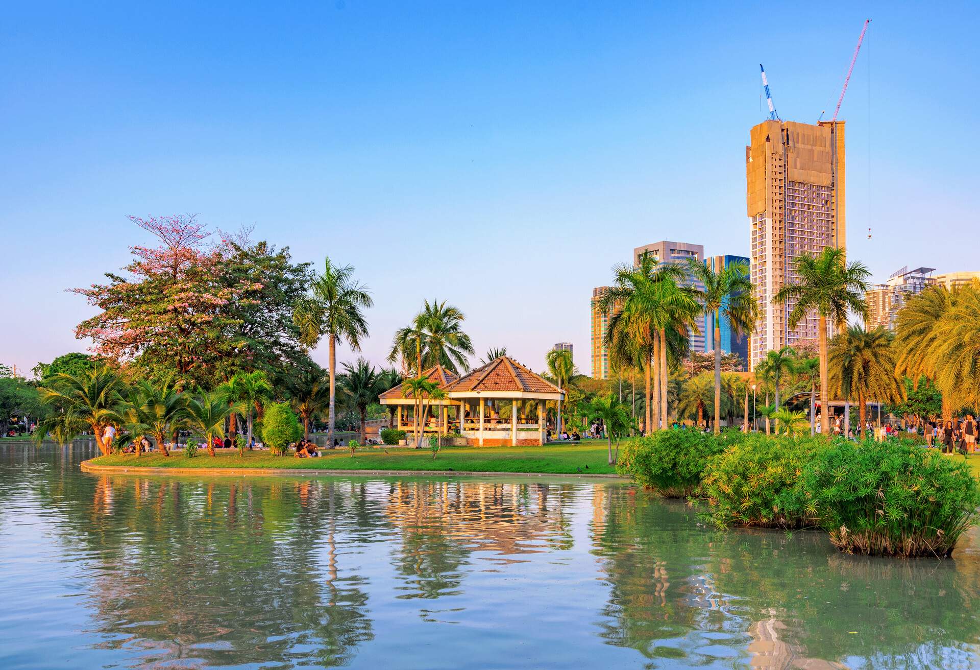 View of Chatuchak park and lake