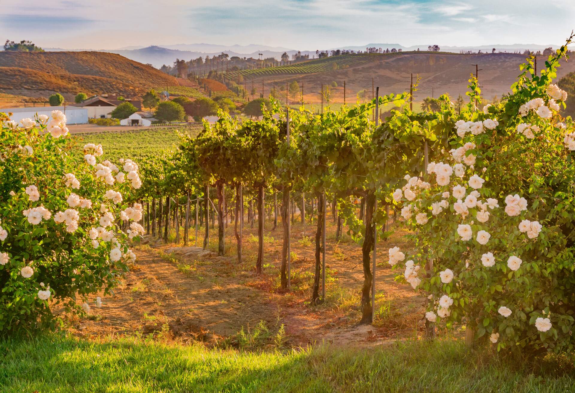 DEST_USA_CALIFORNIA_TEMECULA_GettyImages-695671664