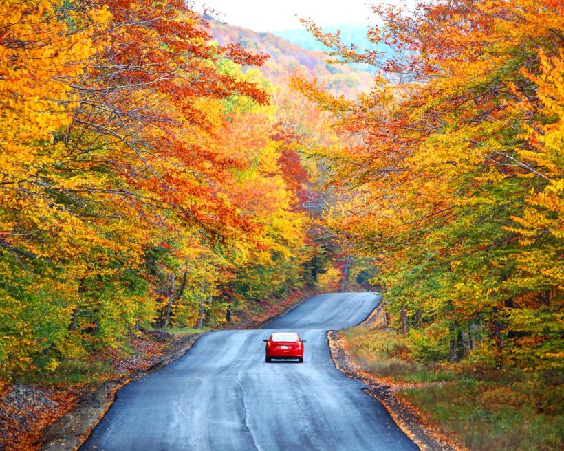 theme_car-roadtrip_fall_autumn_gettyimages-1154696801_universal_within-usage-period_85402