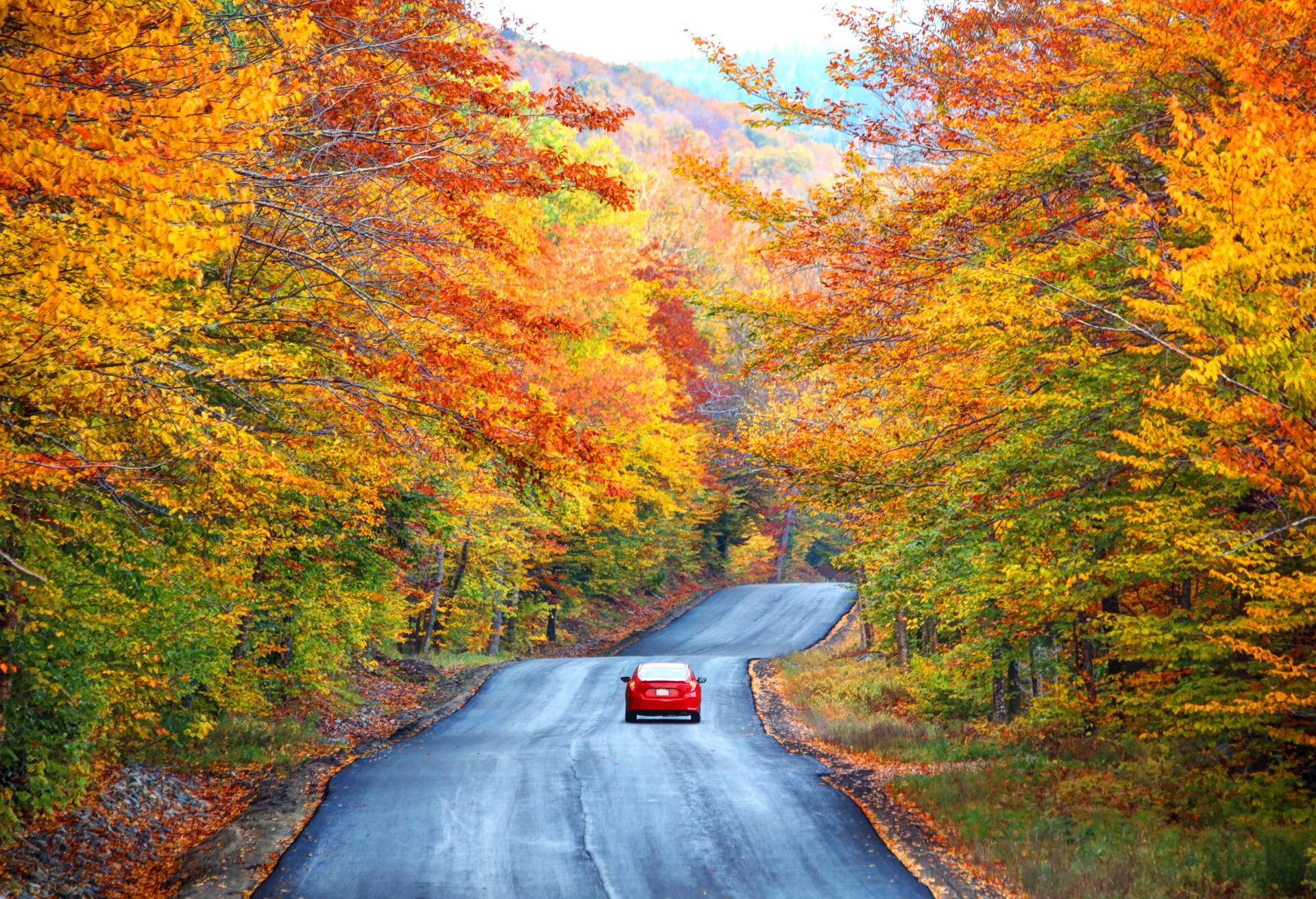 theme_car-roadtrip_fall_autumn_gettyimages-1154696801_universal_within-usage-period_85402