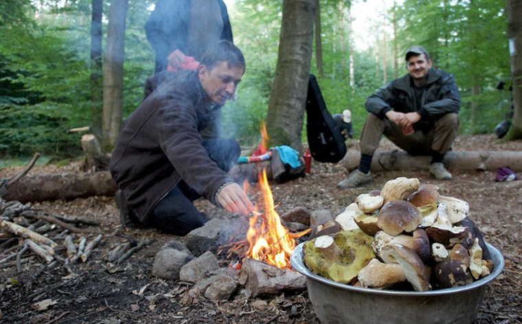 Survival-Training in Deutschland: Die 8 besten Camps