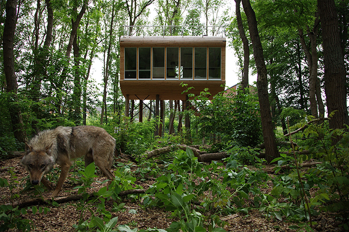 Wild Campen im Baumhaus