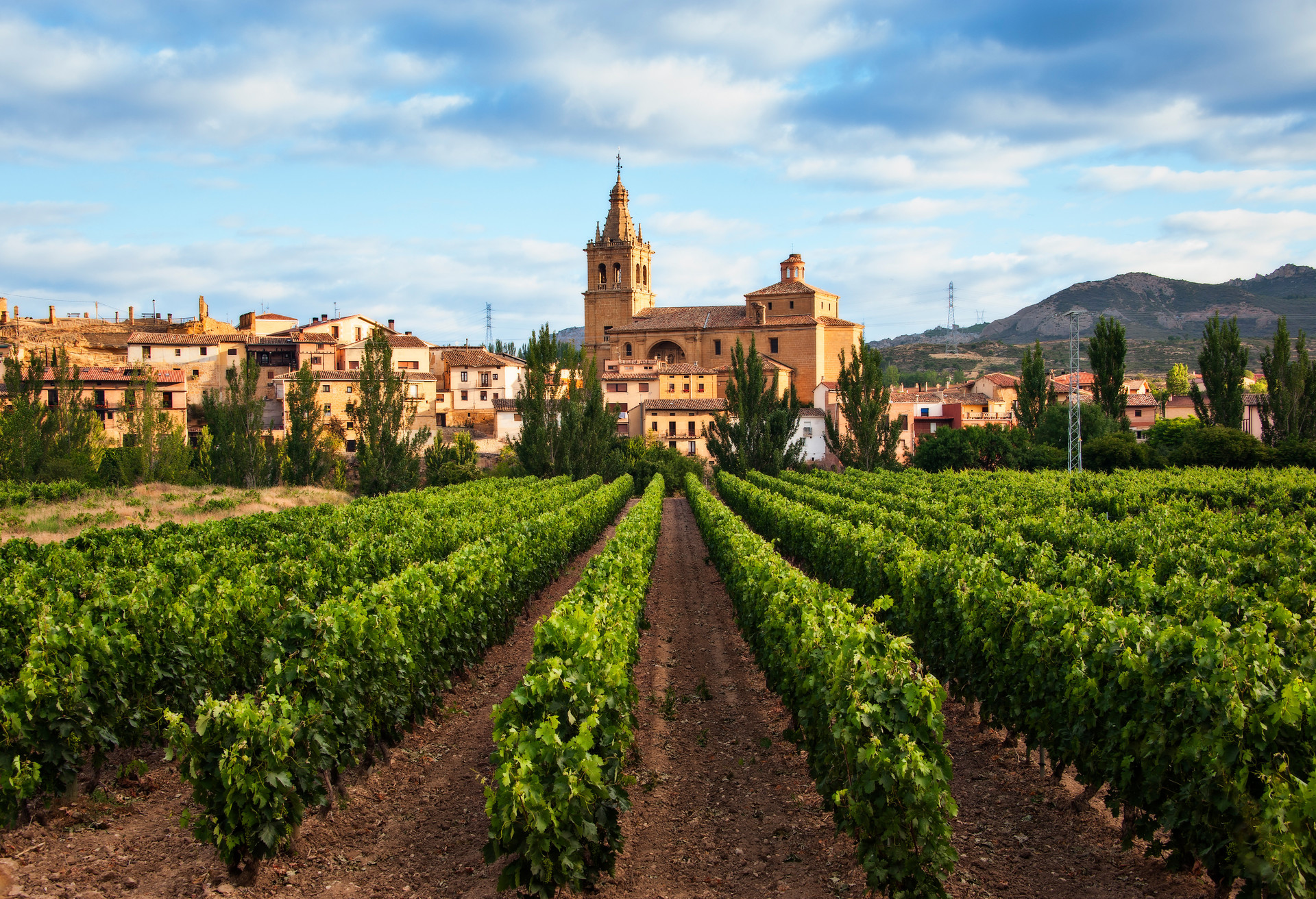 Atemberaubende Ausblicke auf der Fahrt durch La Rioja, Spaniens berühmte Weinregion