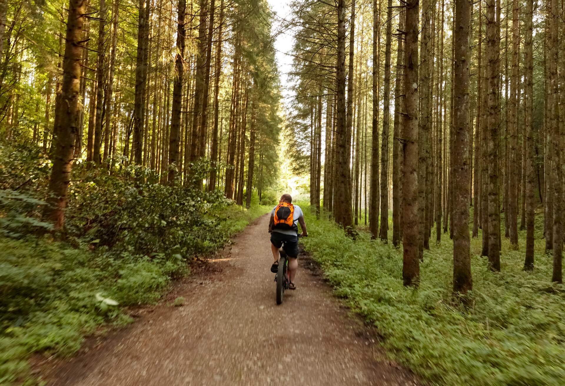 DEST_GERMANY_THEME_BICYCLE_CYCLING_GettyImages-1276794092