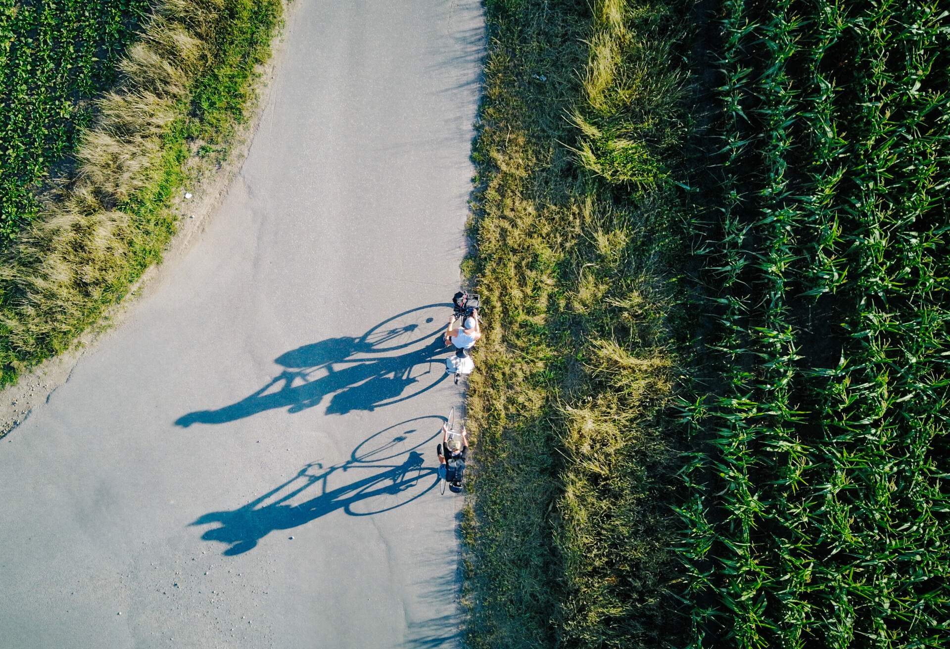 THEME_PEOPLE_BIKING_BICYCLE_GettyImages-1132443669