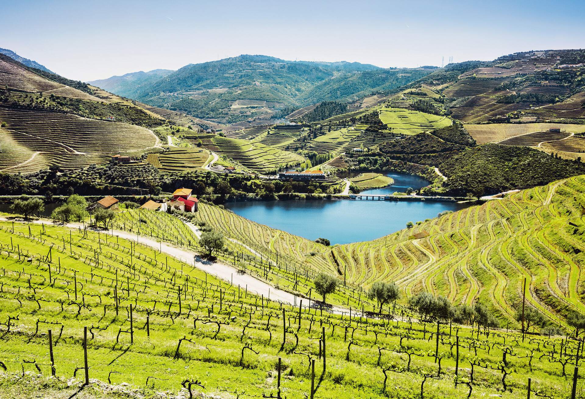 DEST_PORTUGAL_DOURO_shutterstock-premier_1011638089