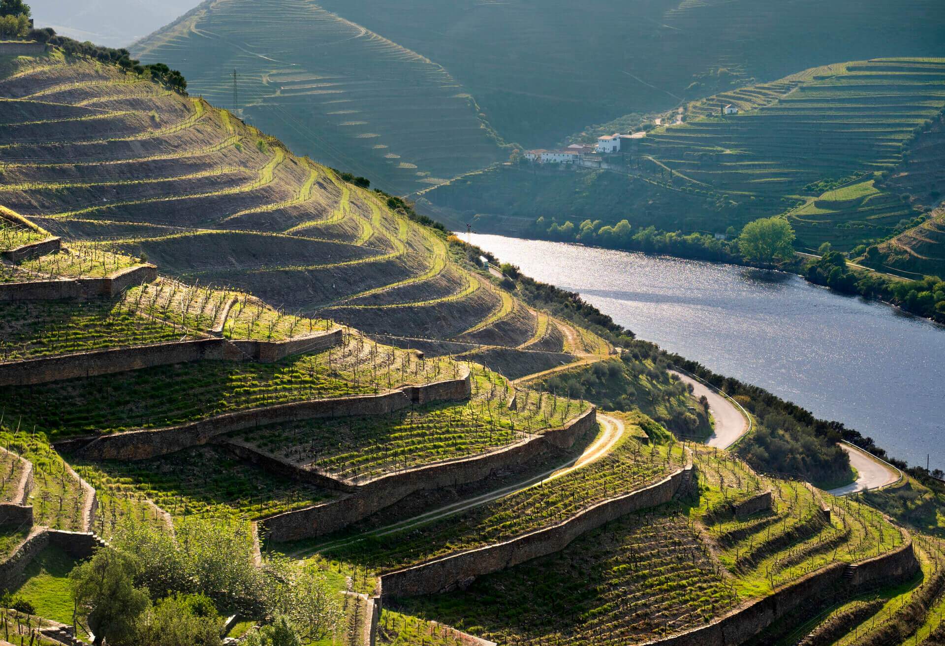 dest_portugal_douro-valley_vineyards_gettyimages-1191026830_universal_within-usage-period_78555-1