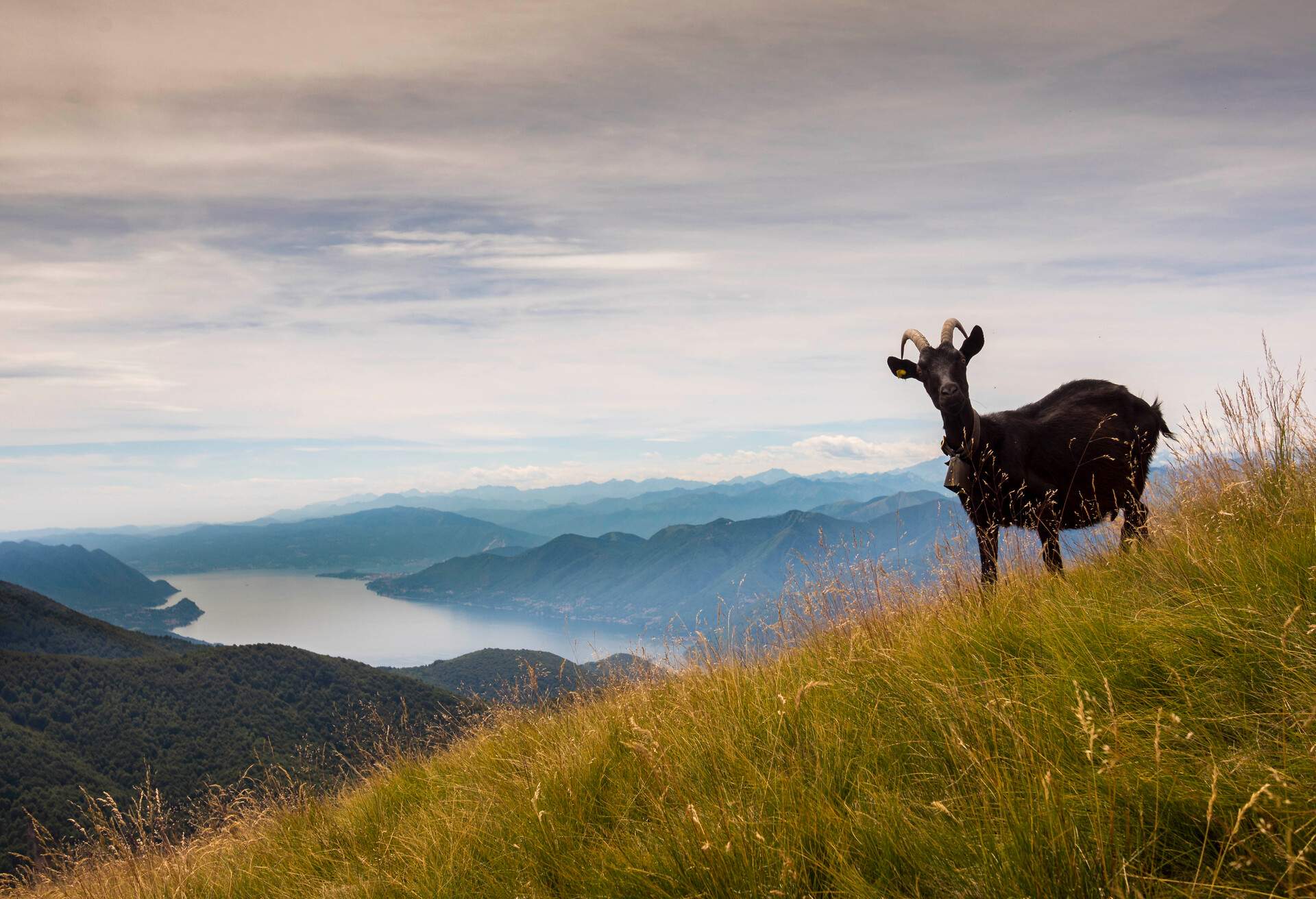 DEST_SWITZERLAND_MONTE-TAMARO_GettyImages-998224454