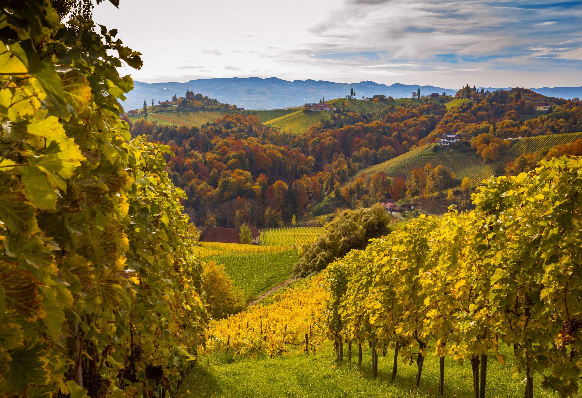 DEST_AUSTRIA_STEIERMRK_AUTUMN_FALL_GettyImages-505793270