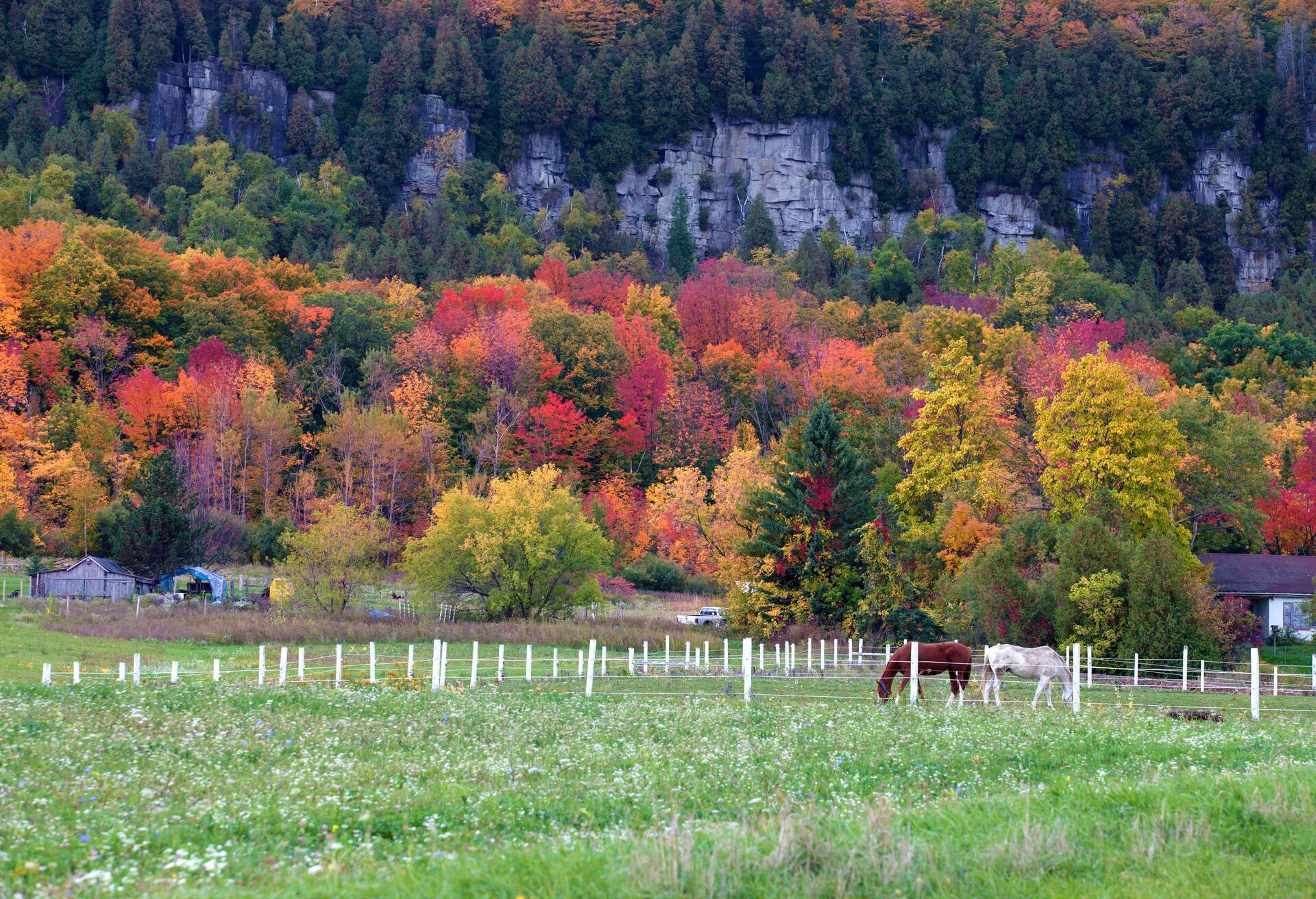 DEST_CANADA_ONTARIO_MILTON_NIAGARA-ESCARPA_shutterstock-premier_116259088