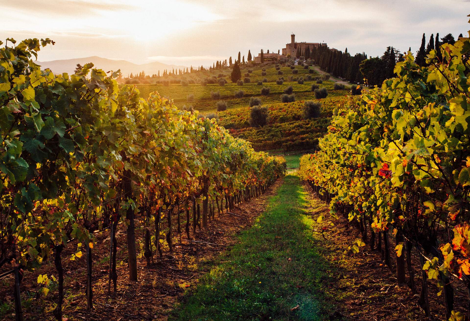 DEST_ITALY_TUSCANY_VAL-D'ORCIA_AUTUMN_FALL_GettyImages-941542122