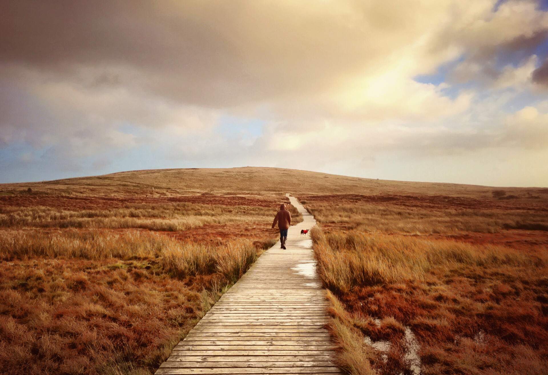 DEST_UK_NORTHERN-IRELAND_BELFAST_BLACK-MOUNTAIN_GettyImages-606976197