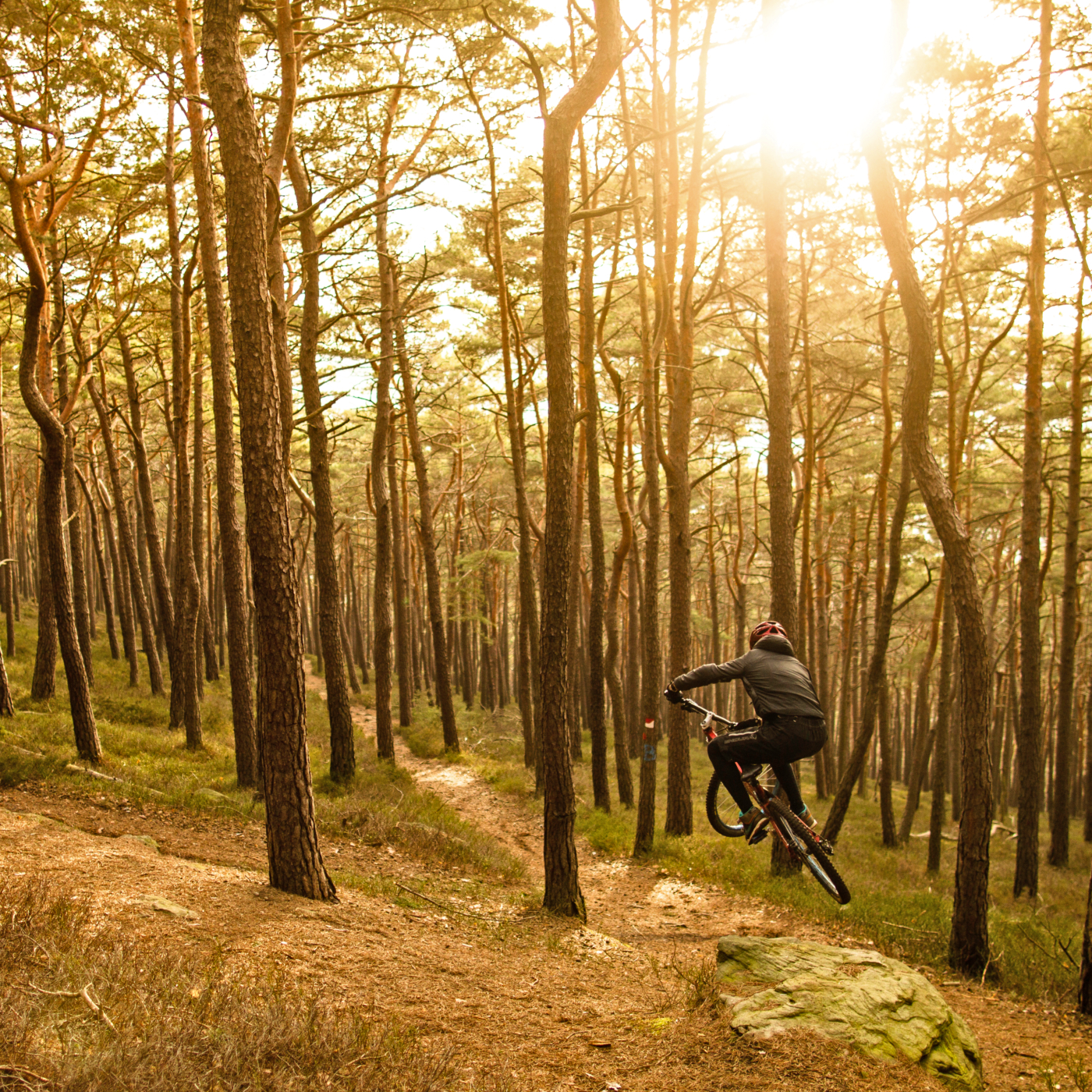 Geniale Trails und klare Luft: Mountainbiken in Churfranken ©Churfranken e.V. – Helge Lamp