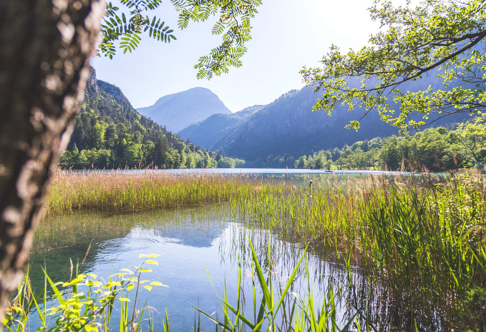 DEST_GERMANY_BAD-REICHENHALL_THUMSEE_THUM-LAKE_GettyImages-1314745178