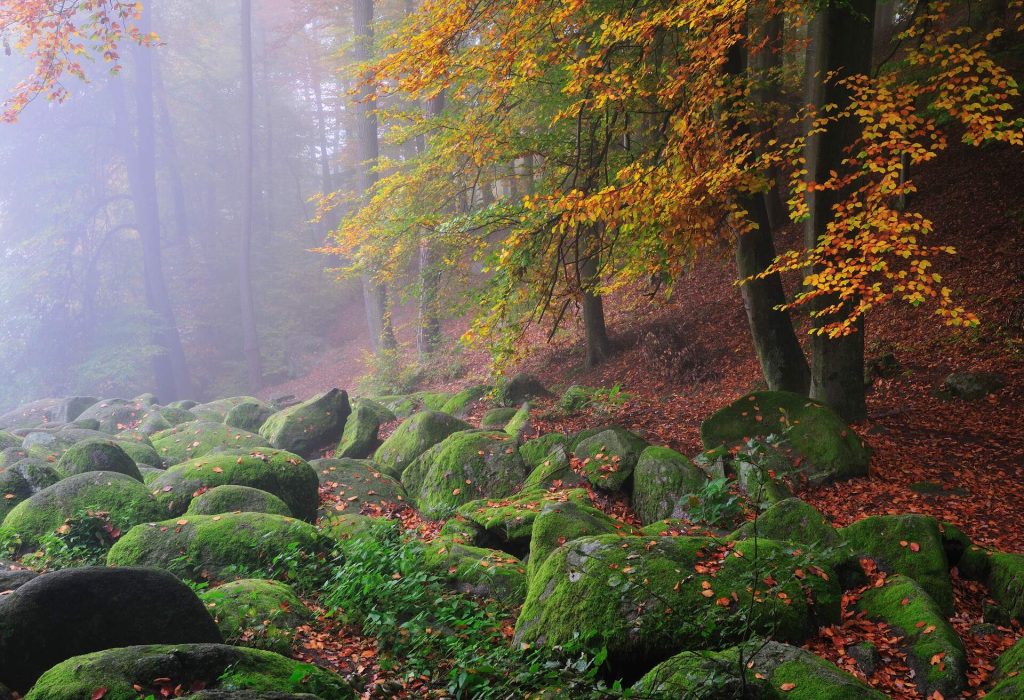 Naturwunder Deutschland: Die 20 schönsten Orte in Deutschland