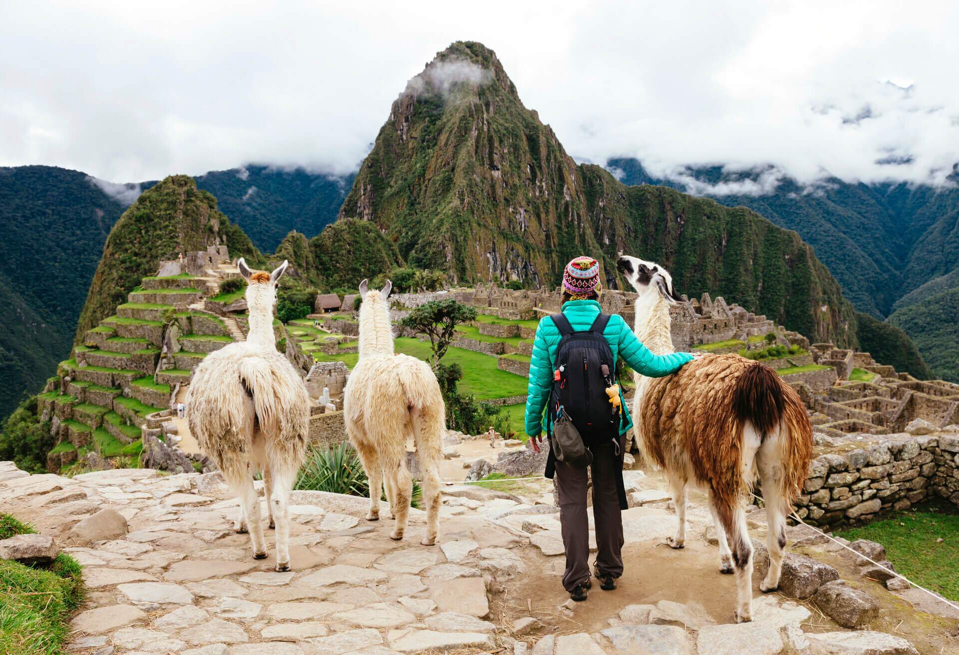 machu pichu