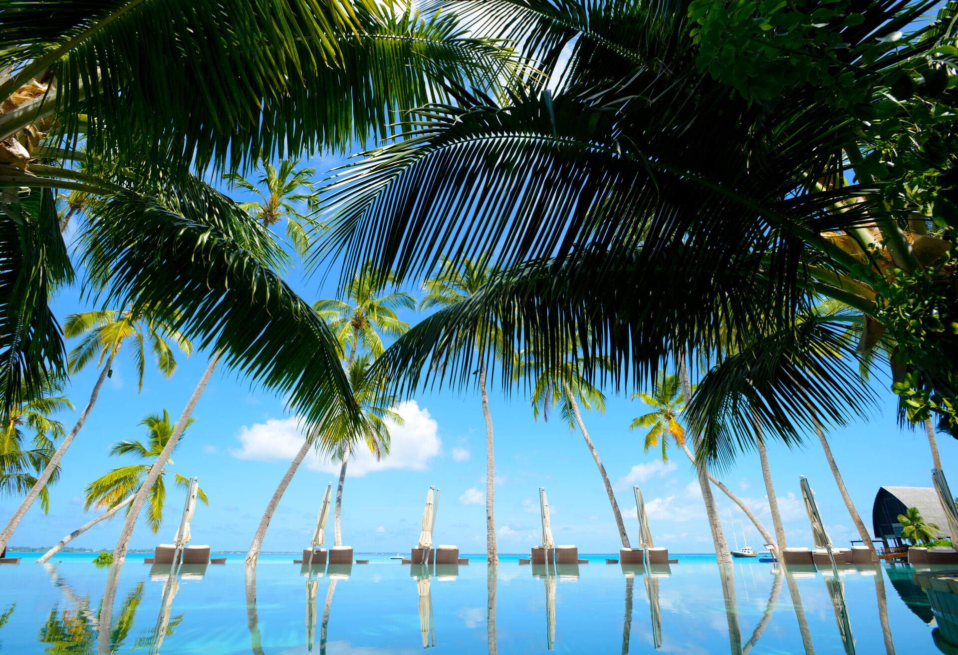 tropics infinity pool