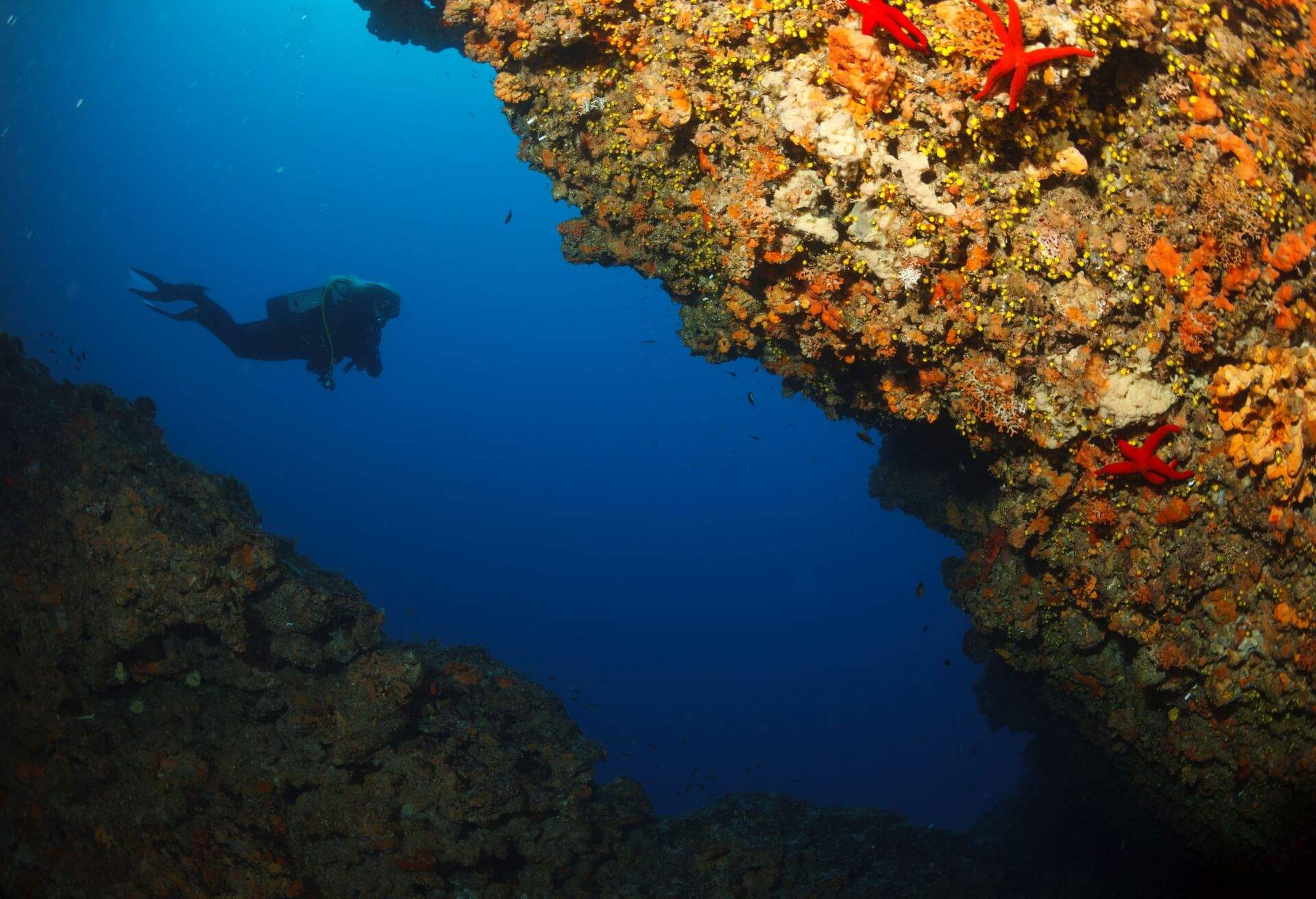 dest_croatia_theme_people_scuba-diver_gettyimages-1070921564