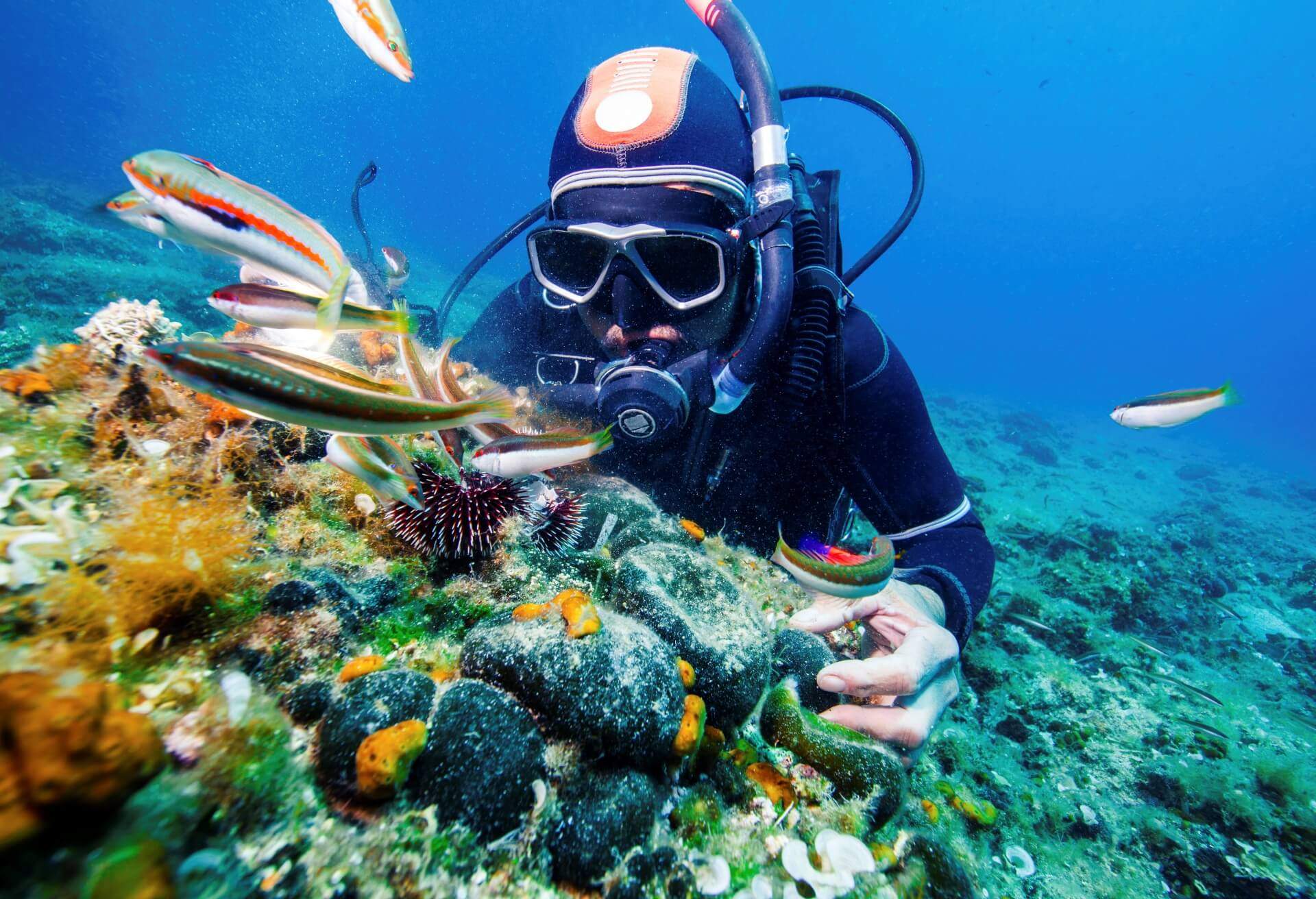 dest_croatia_adriatic-sea_theme_people_scuba-diver_gettyimages-581734905