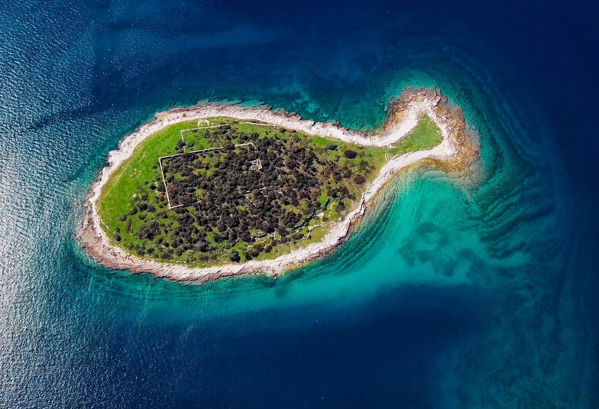 DEST_CROATIA_Brijun_ISLAND_FISH_GAZ_GettyImages-1297446212