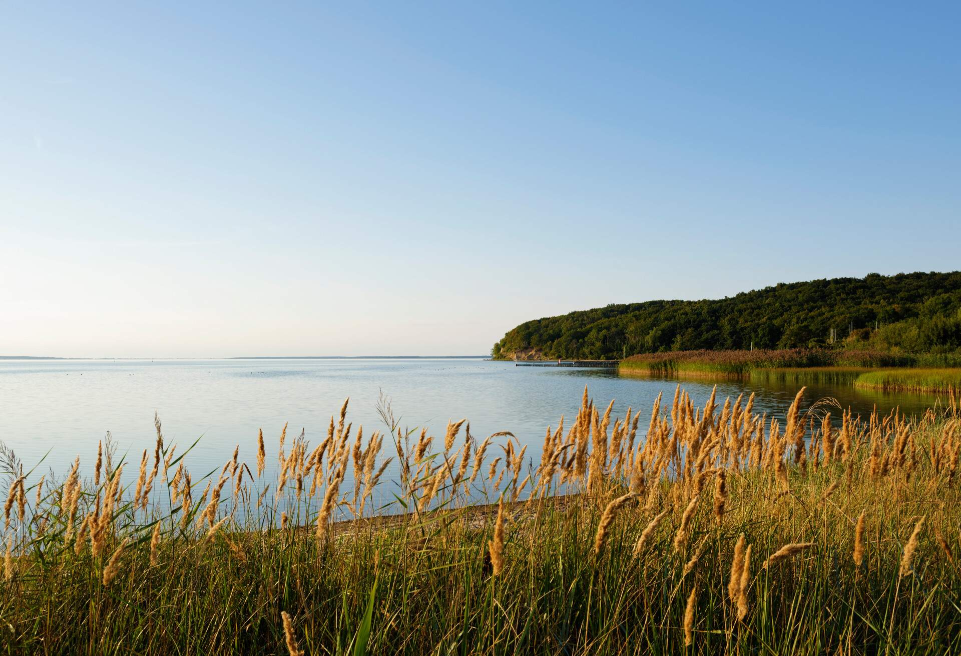 DEST_GERMANY_RÜGEN_RUEGEN_GettyImages-707455581