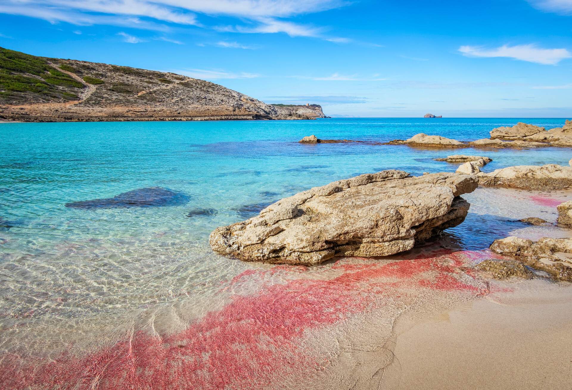 DEST_SPAIN_MALLORCA_CALA_TORTA_GettyImages-1210586730