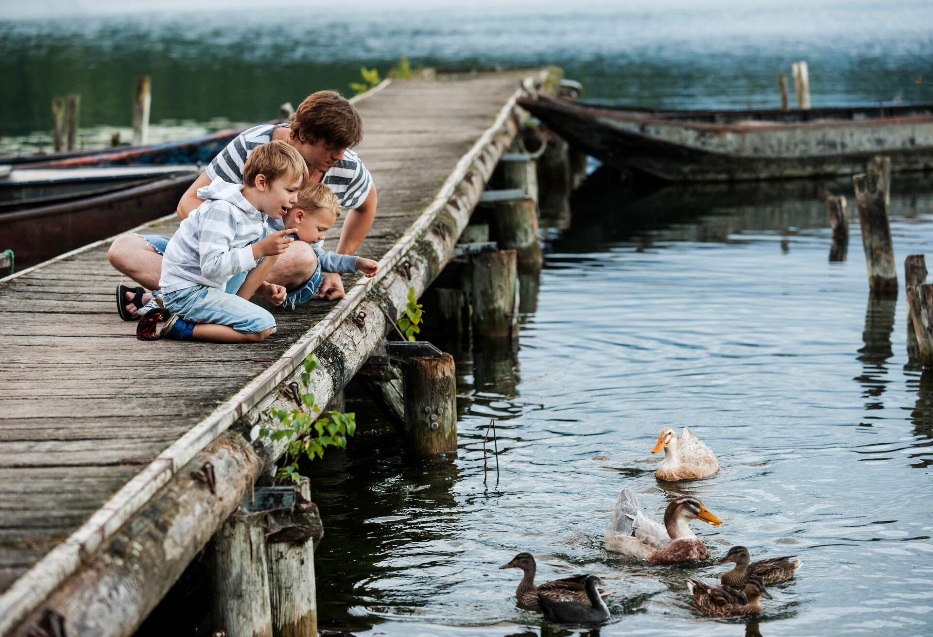DEST_GERMANY_LAACHER-SEE_THEME_PEOPLE_CHILDREN_DUCKS_NATURE-GettyImages-530071933