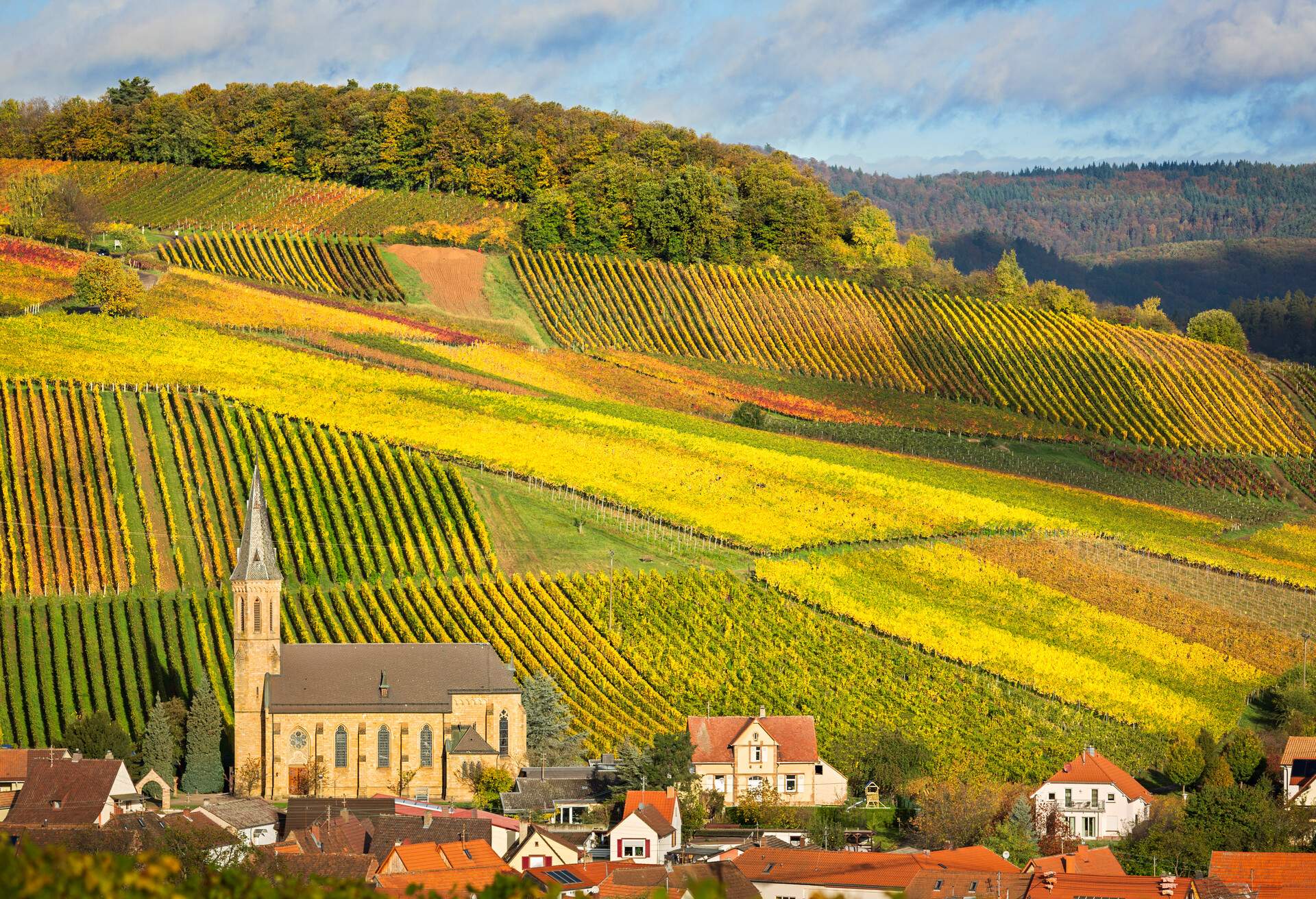 DEST_GERMANY_PFALZ_THEME_WINE_VINEYARDS_GettyImages-452421329