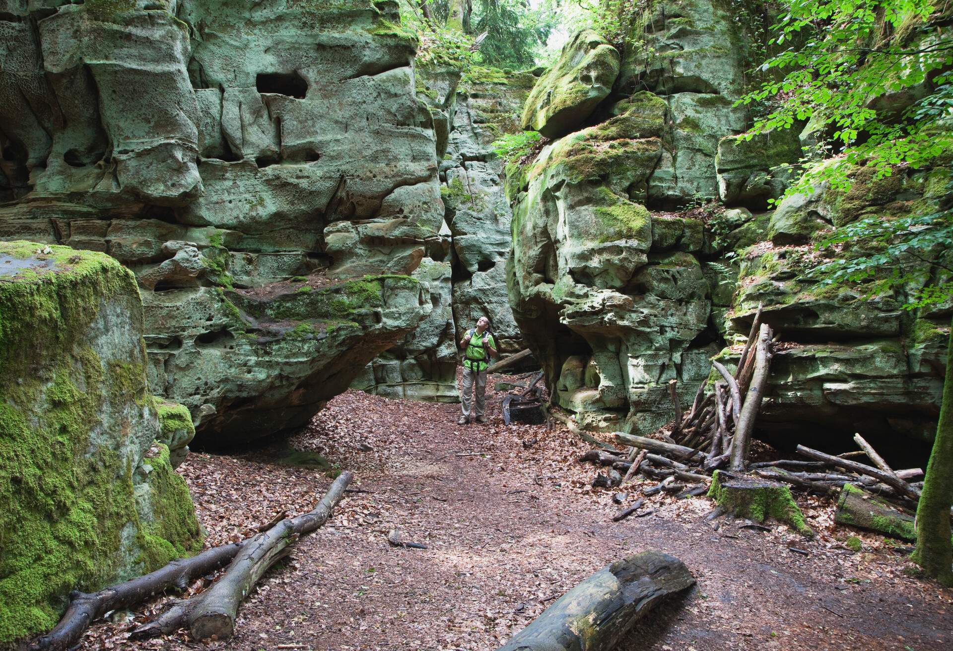 DEST_GERMANY_South Eifel Nature Park_THEME_HIKING_GettyImages-138310611