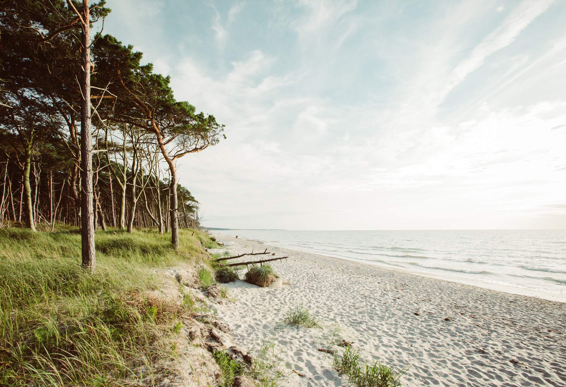 DEST_GERMANY_WESTSTRAND_THEME_BEACH_GettyImages-1085735450