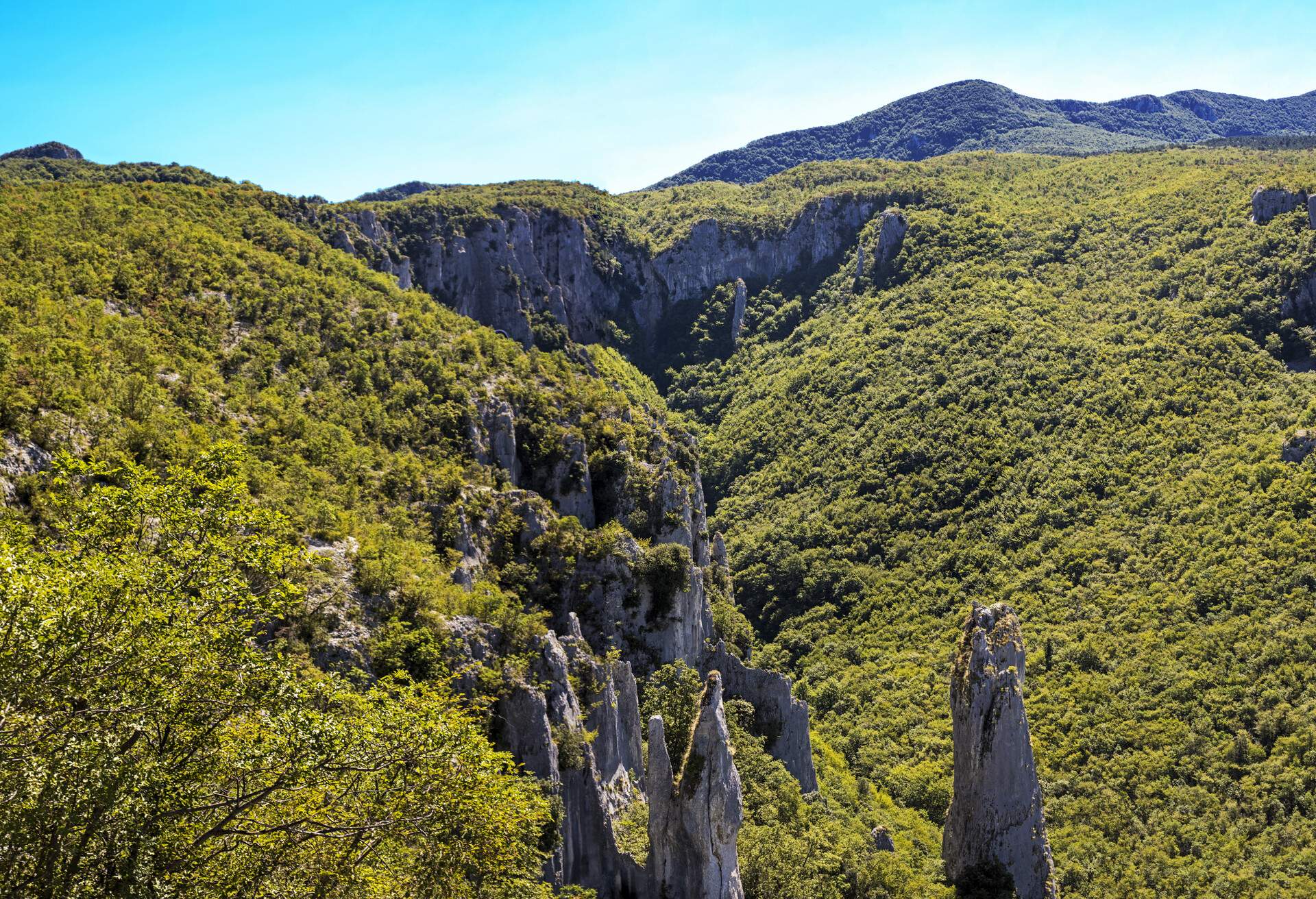 Vela Draga Valley, Croatia. Vertical mountains in forest middle.