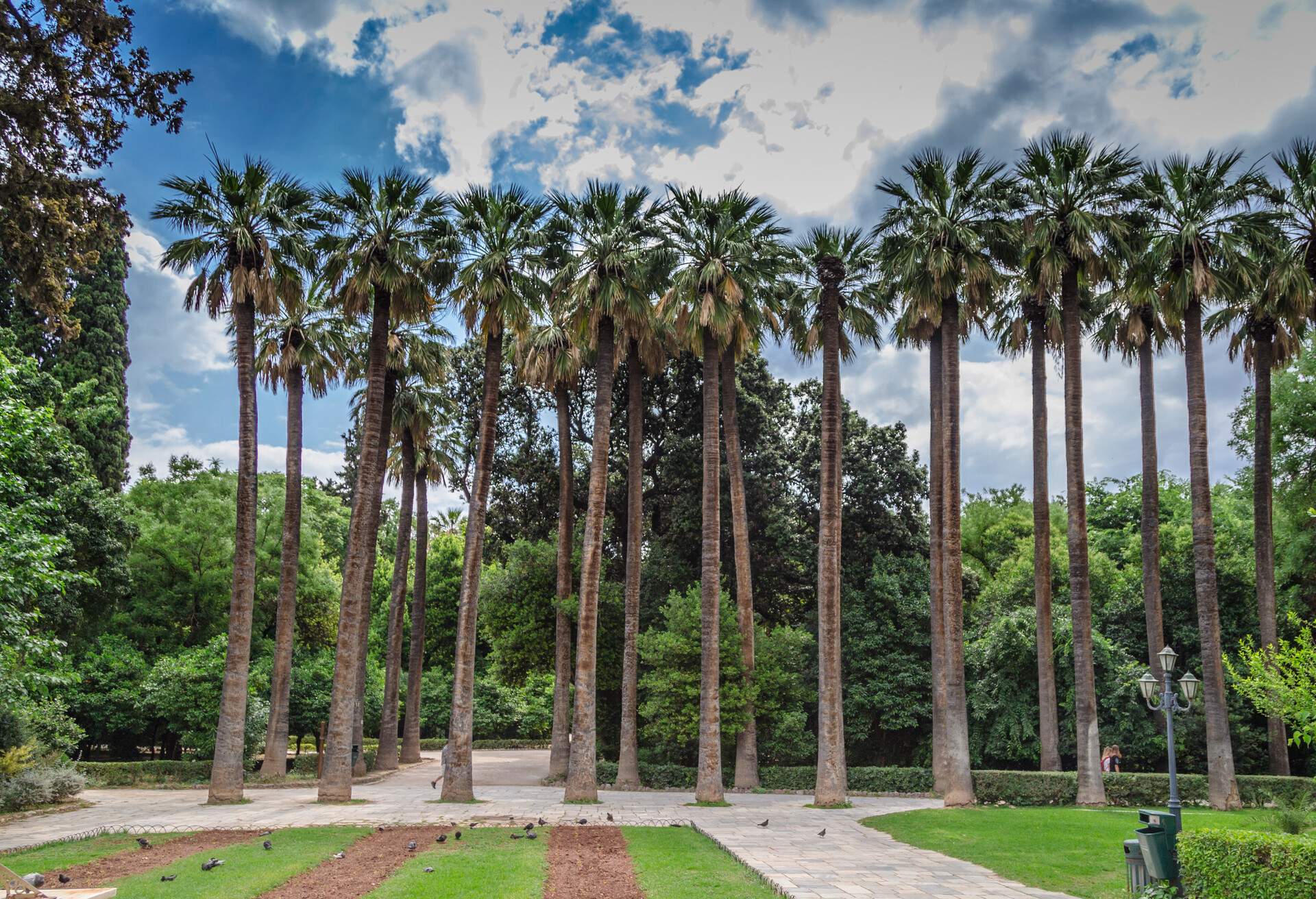 DEST_GREECE_National_Garden_of_ Athens_GettyImages-640303396